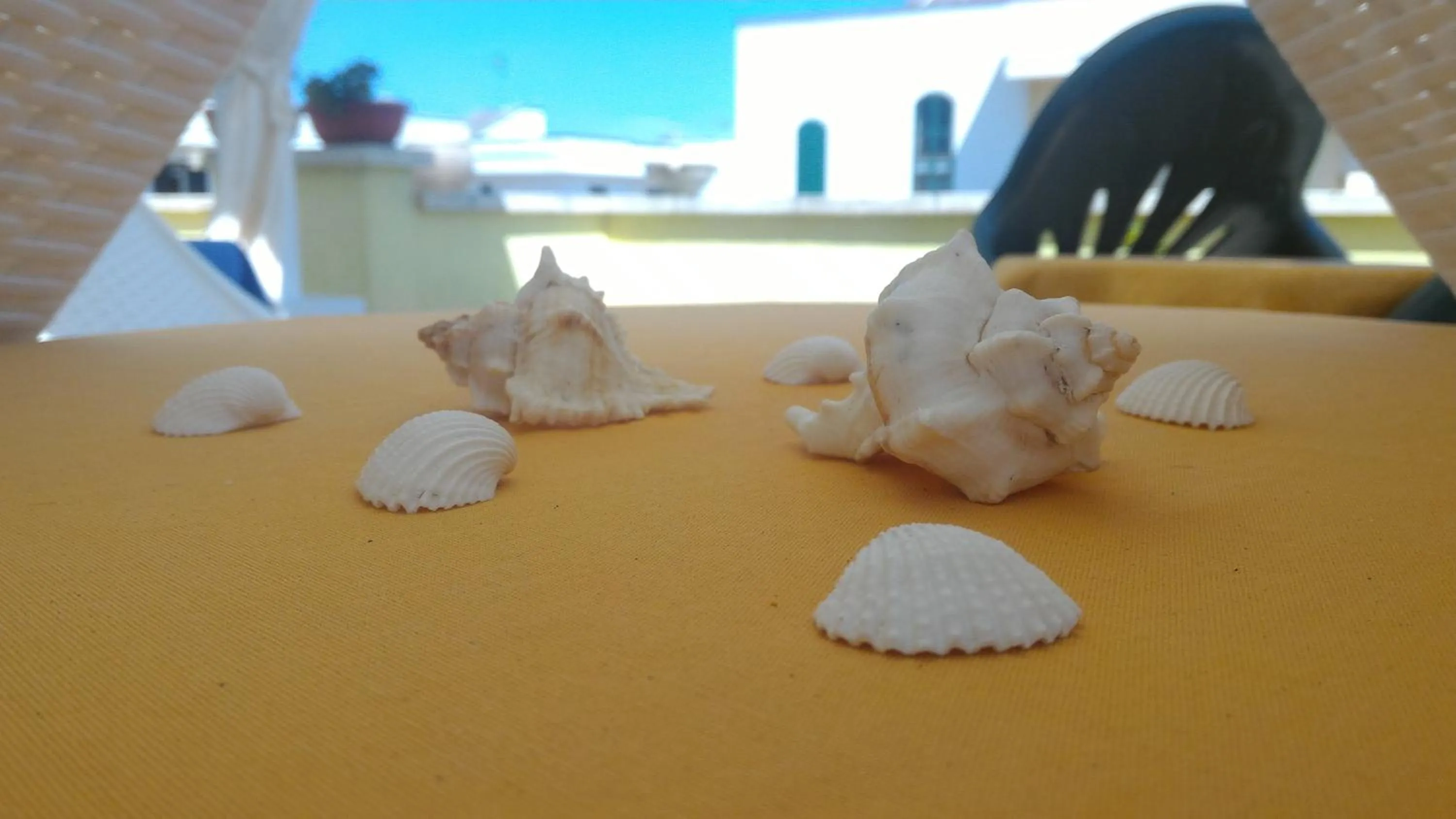 Balcony/Terrace in B&B Barone