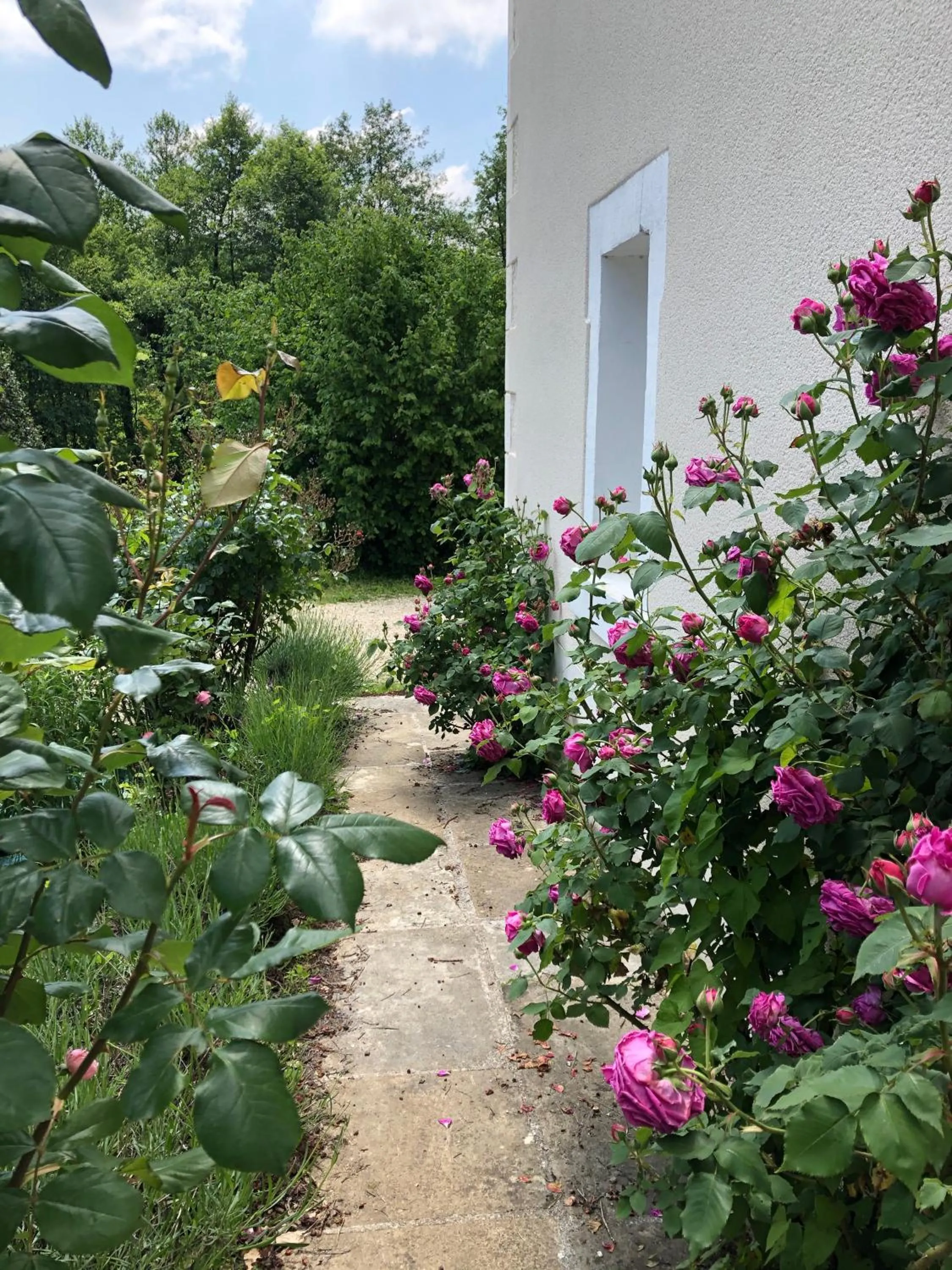 Chateau de Moison, Domaine Eco Nature