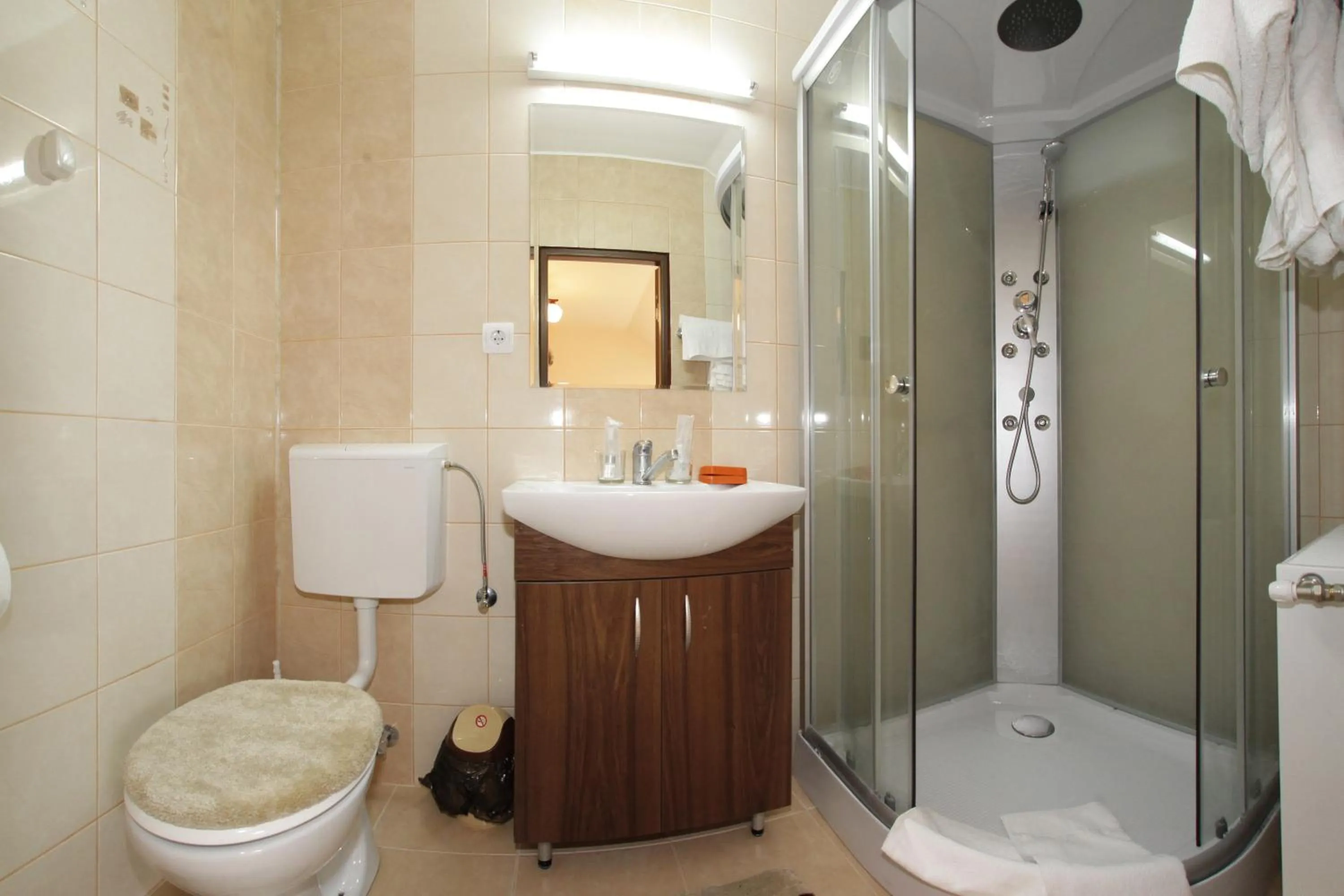 Bathroom in Pensiunea Muresul