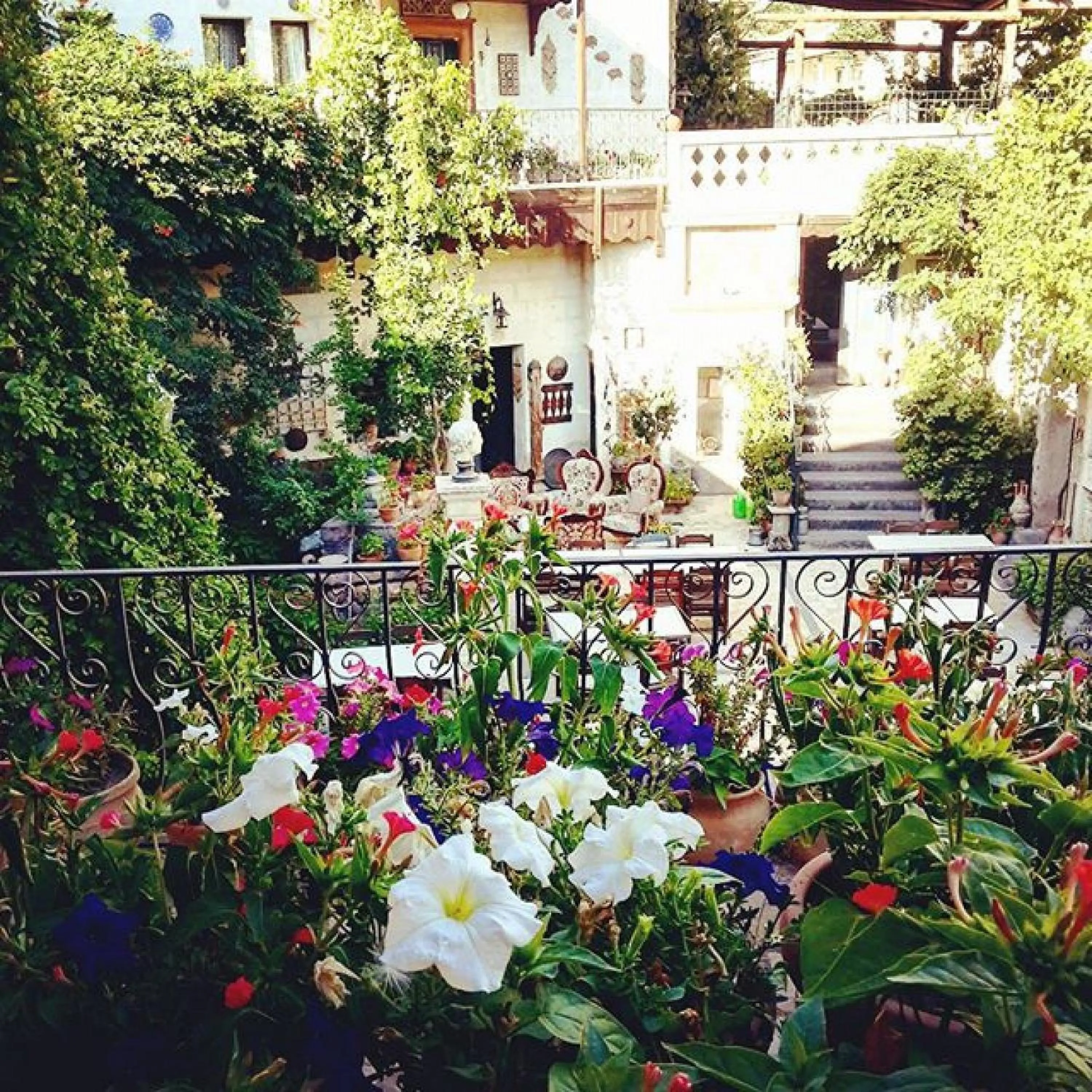 Garden in Sofa Hotel