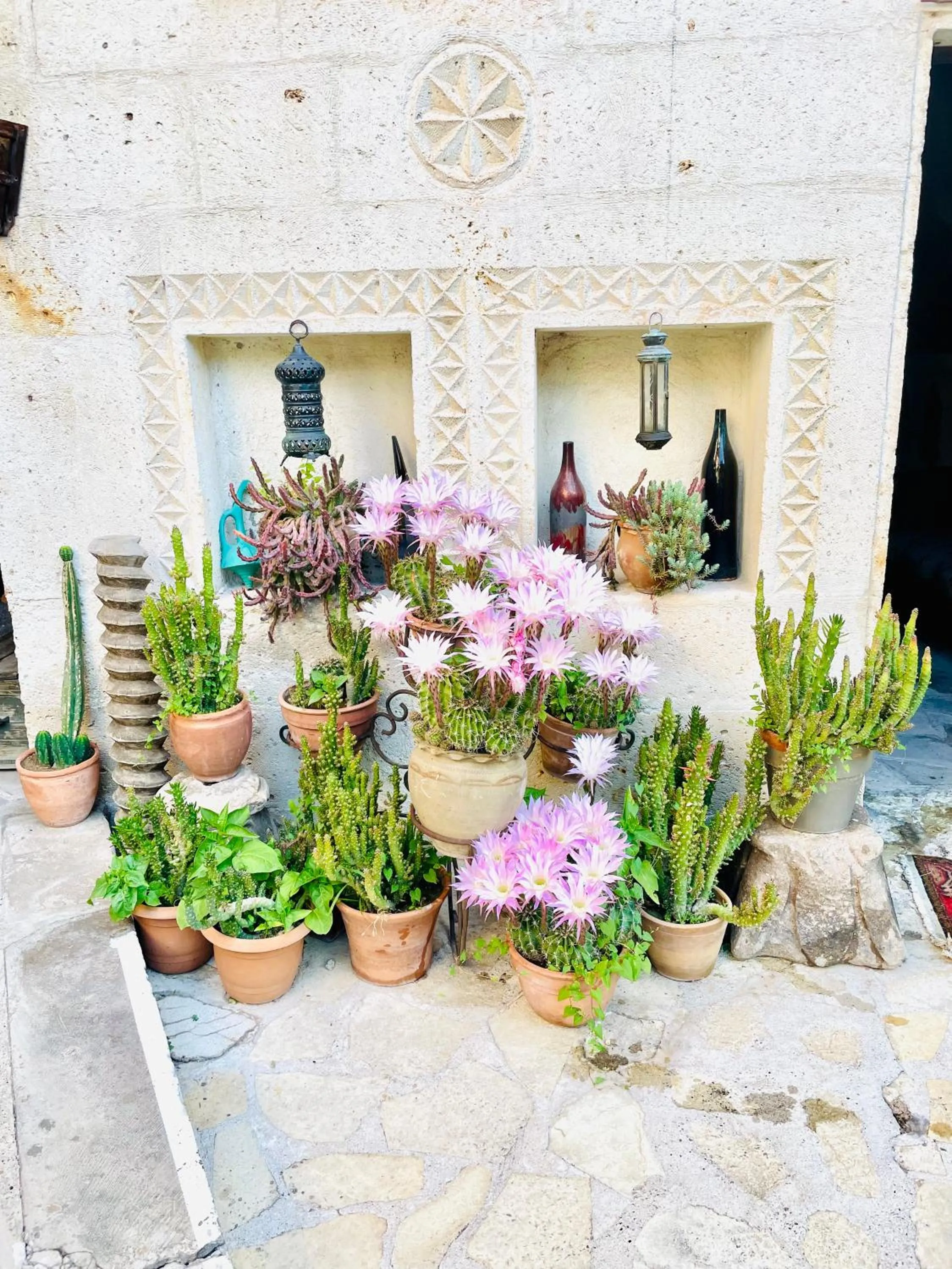 Spring in Sofa Hotel