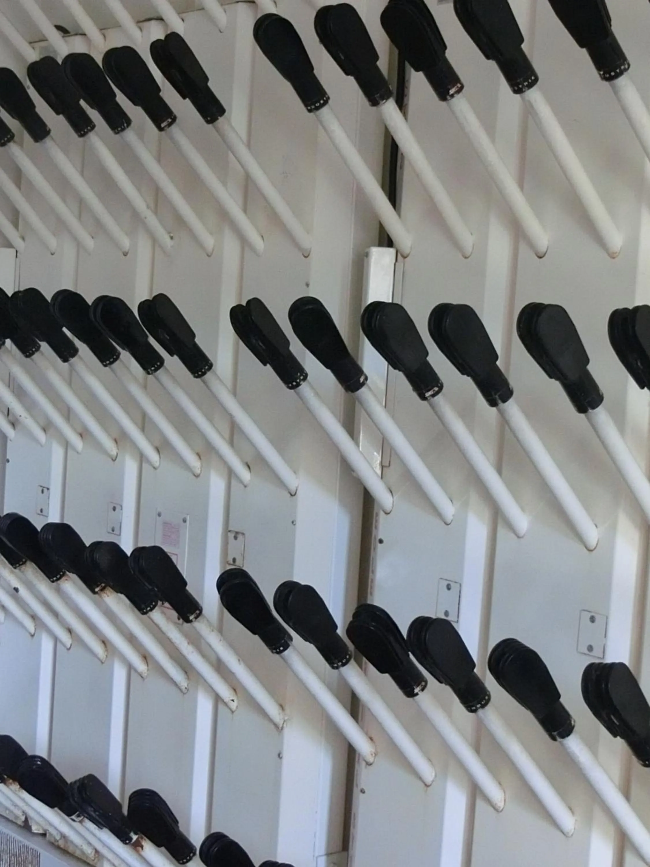 Skiing in Garni Criss