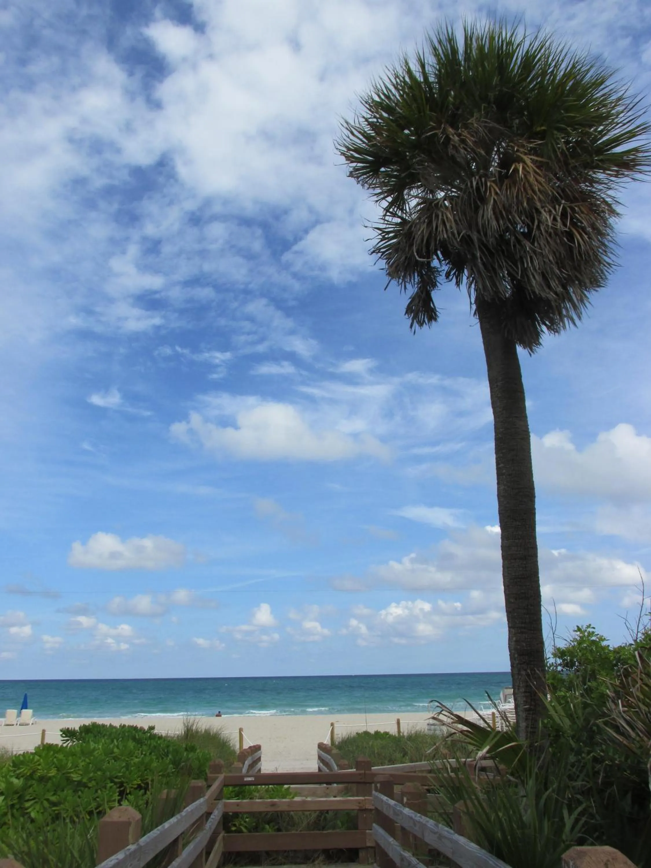 Natural landscape in Ocean Dream