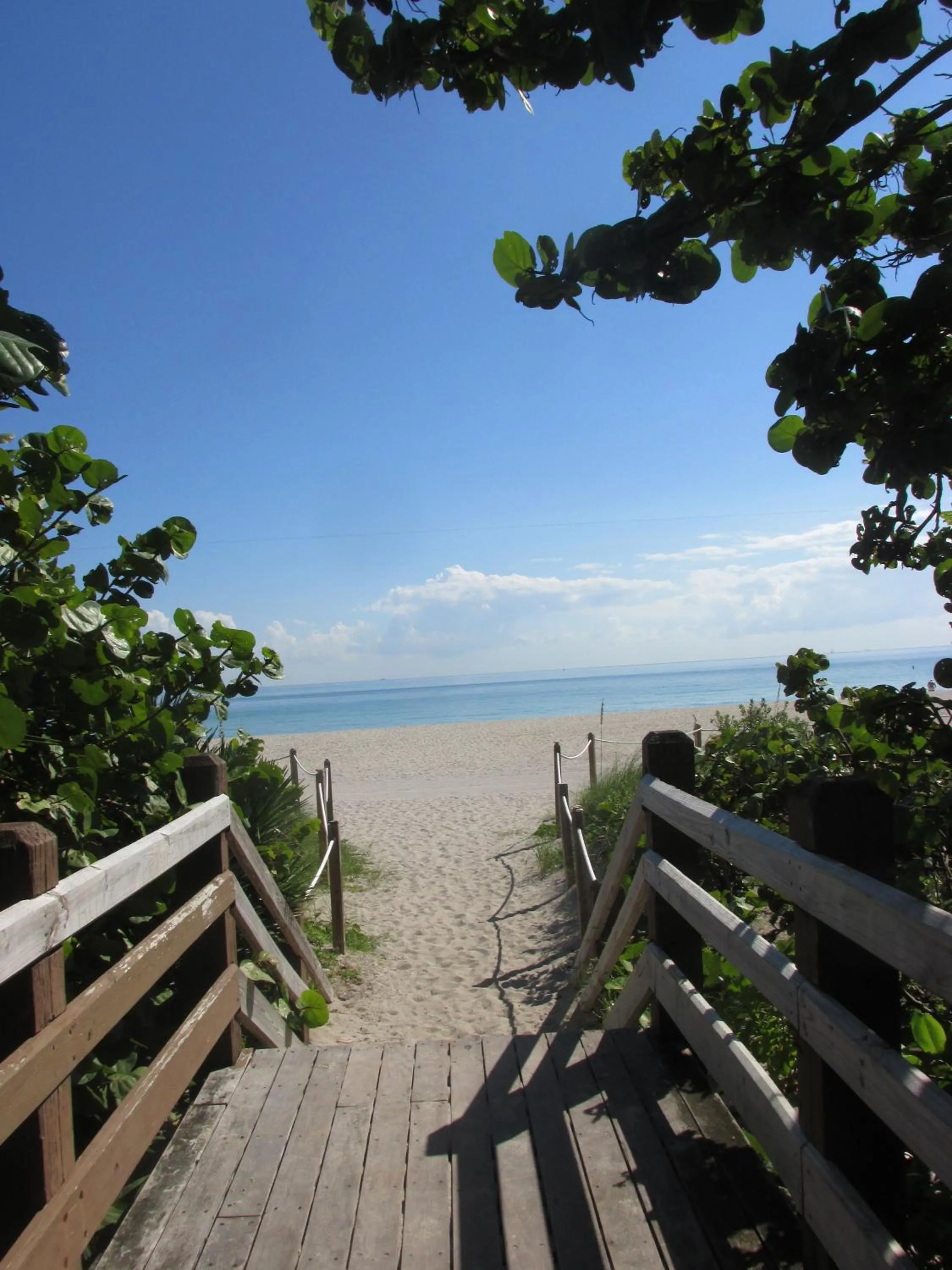 Beach in Ocean Dream
