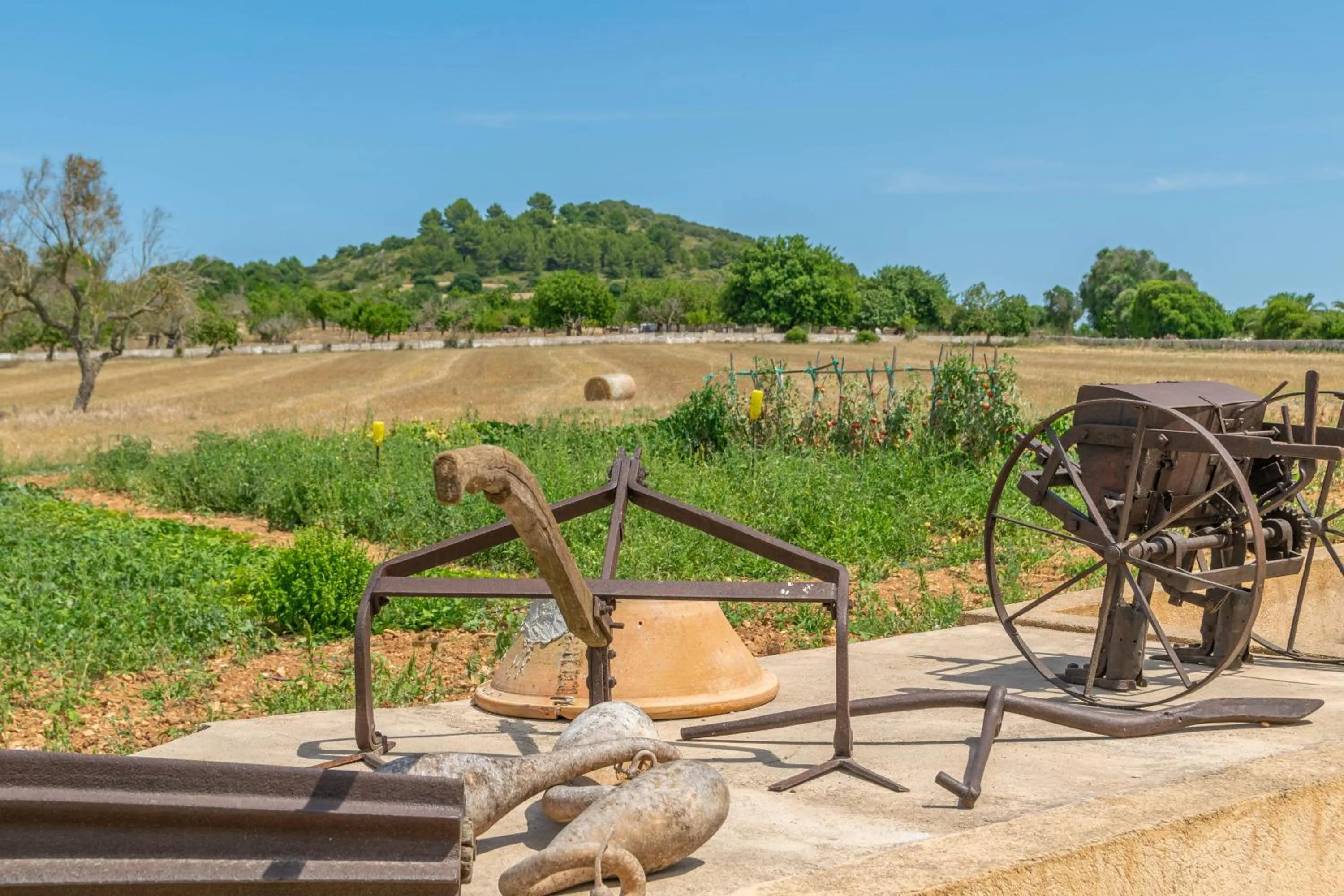 View (from property/room) in 3 C'an Boto