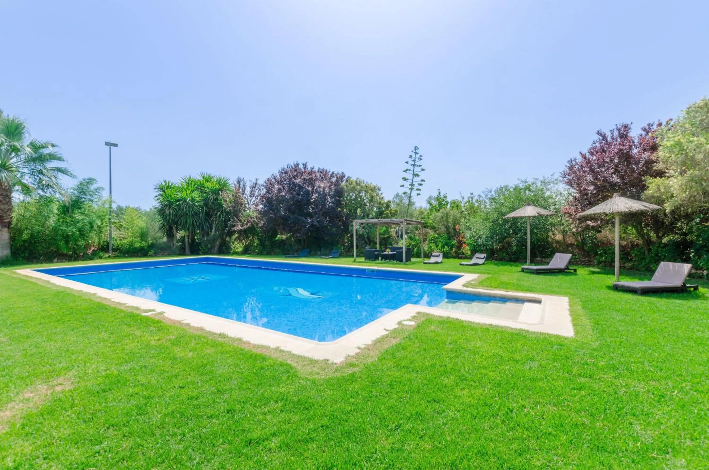 Swimming pool in Ca'n Berguins