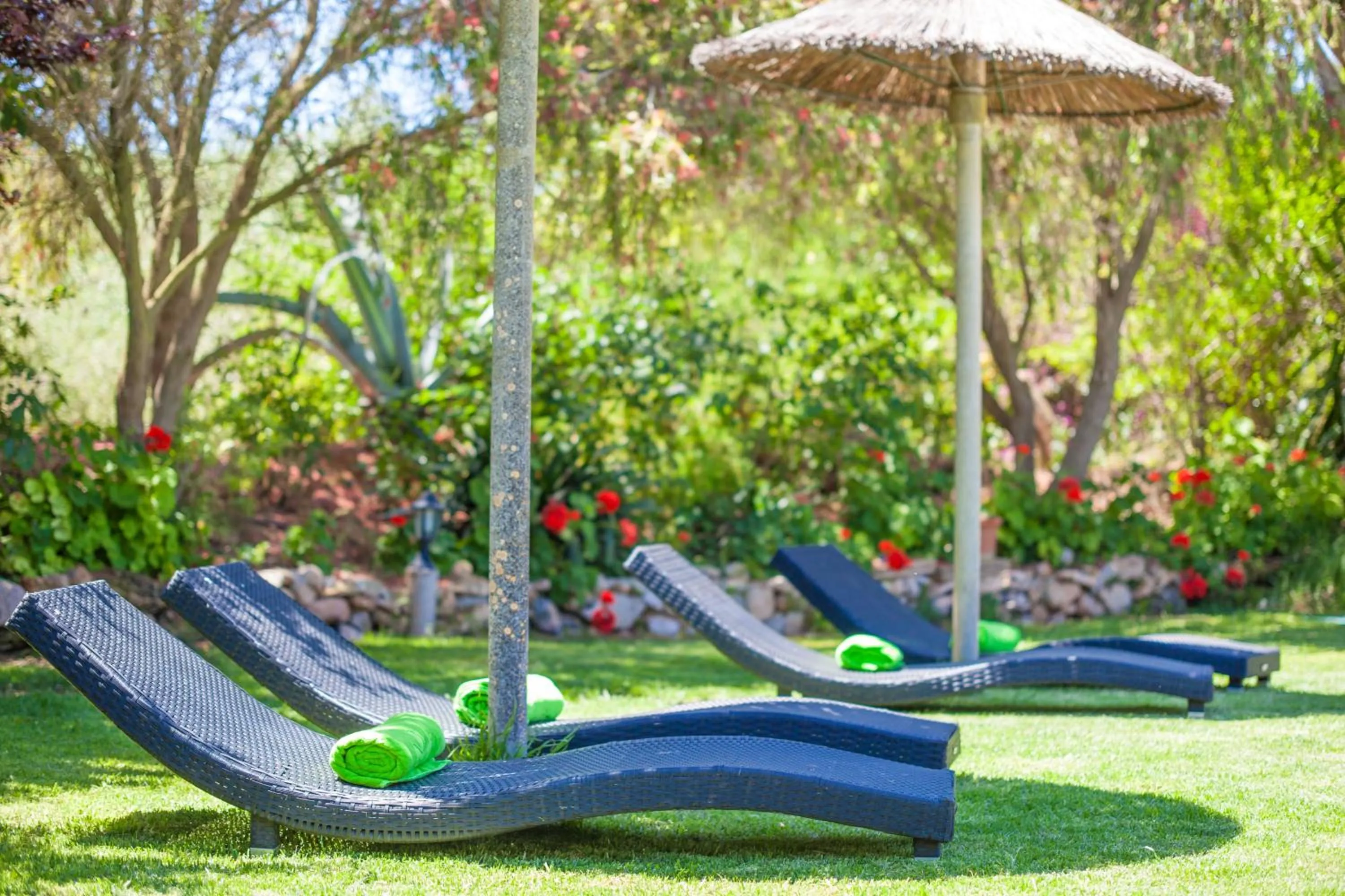 Garden in Ca'n Berguins