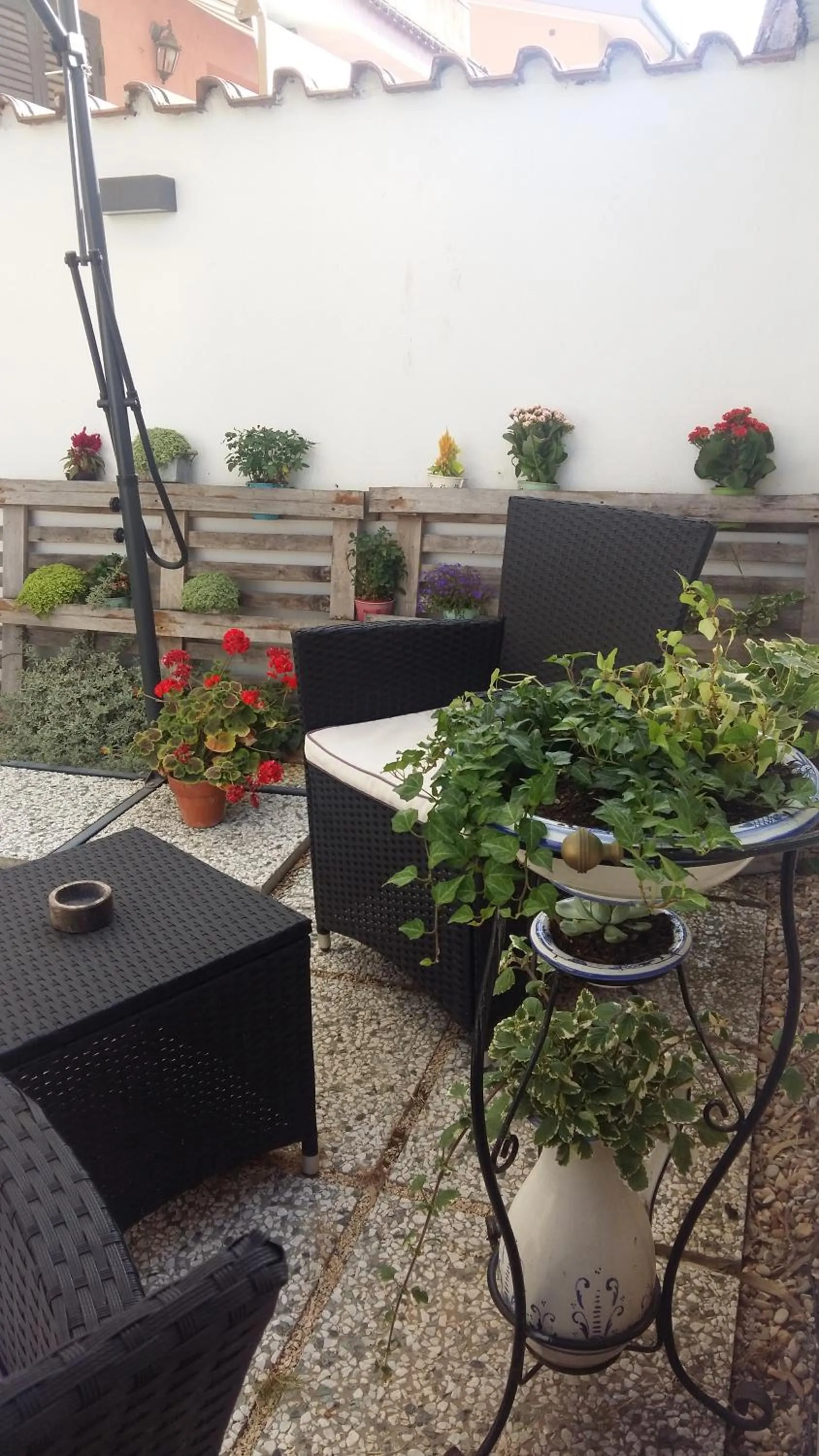 Garden in Il Piccolo B&B