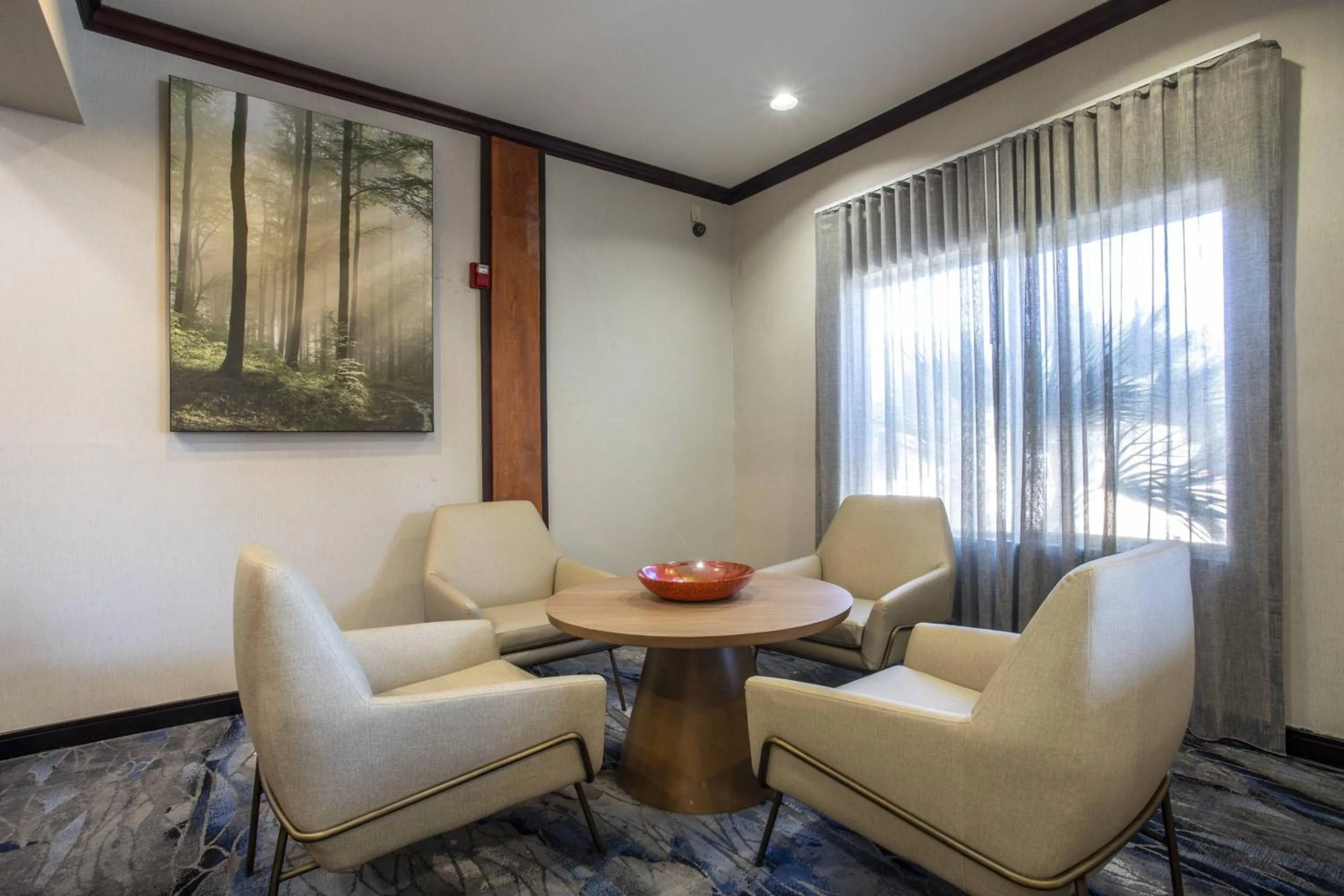 Lobby or reception in Fairfield Inn and Suites by Marriott San Antonio Boerne