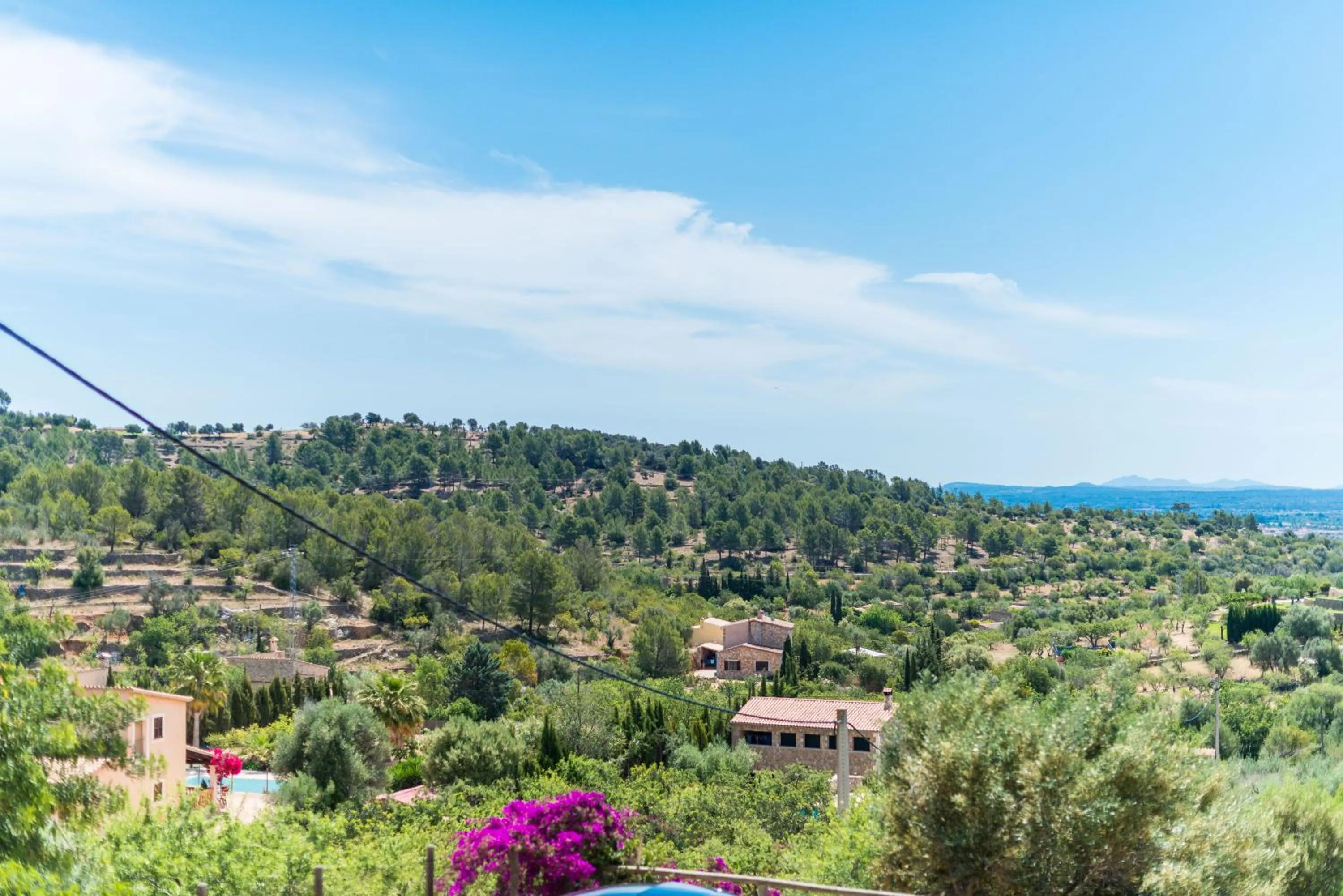 Natural landscape in Es Pinar