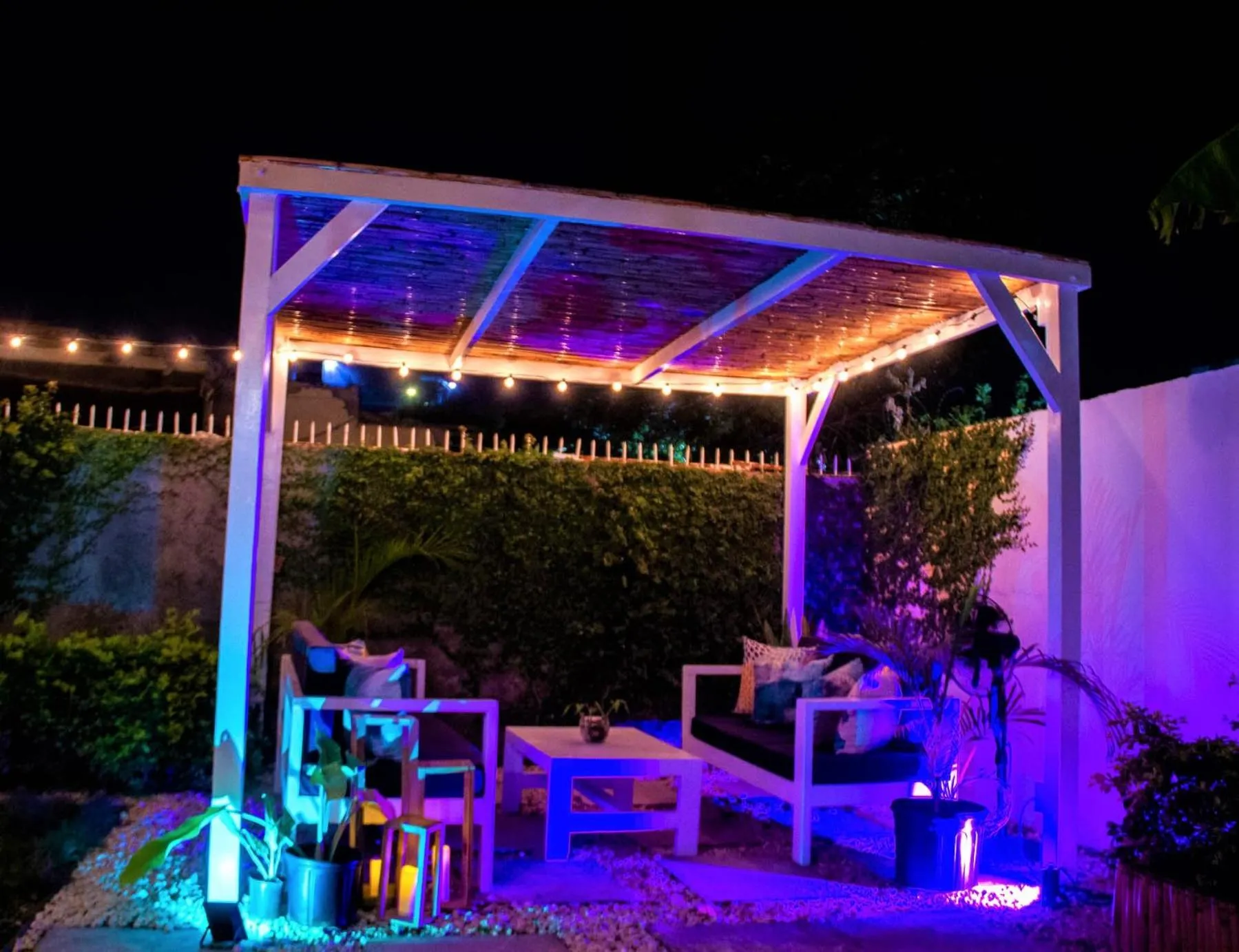 Garden in Eventuality B&B New Kingston