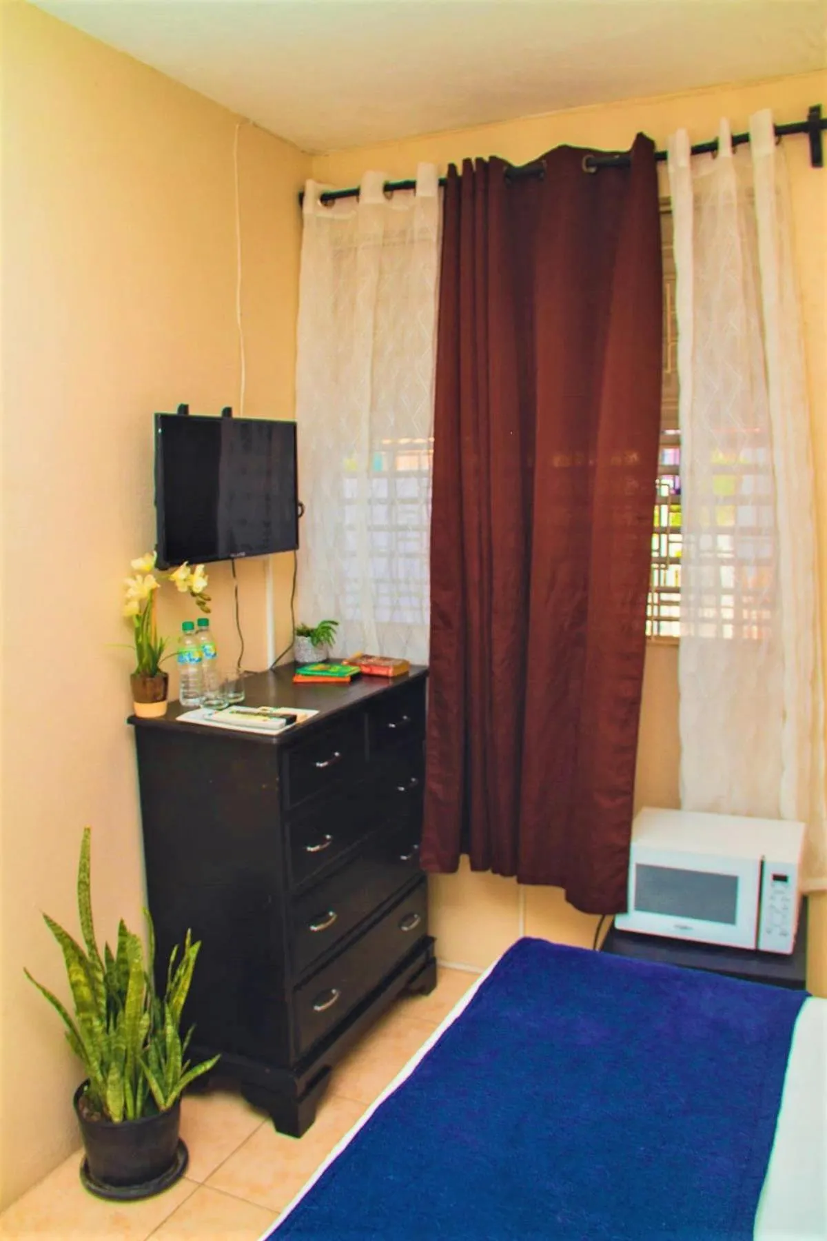 TV and multimedia in Eventuality B&B New Kingston