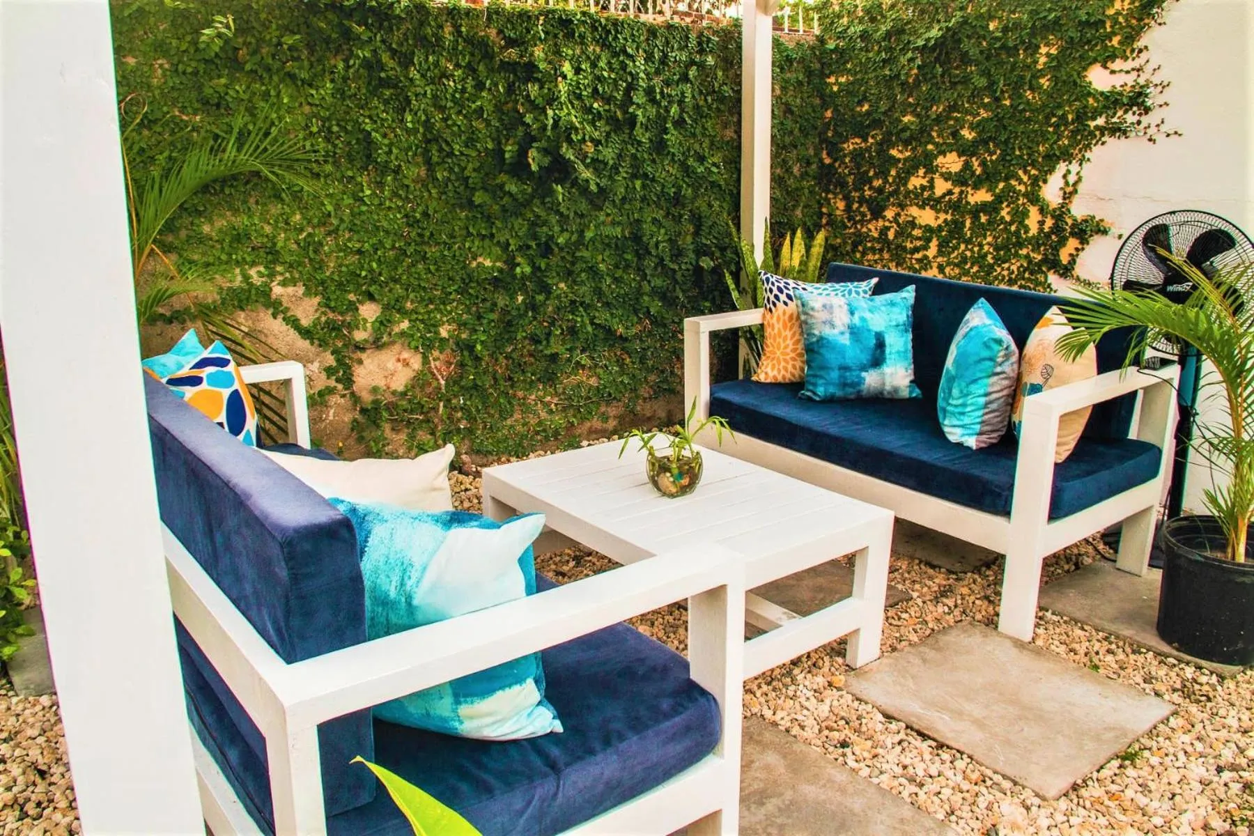 Garden in Eventuality B&B New Kingston