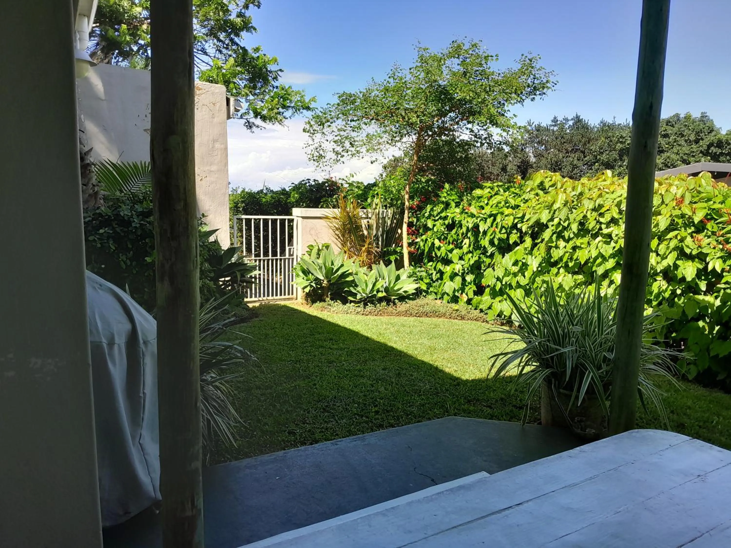 Garden view in Shaka's Seat Guesthouse