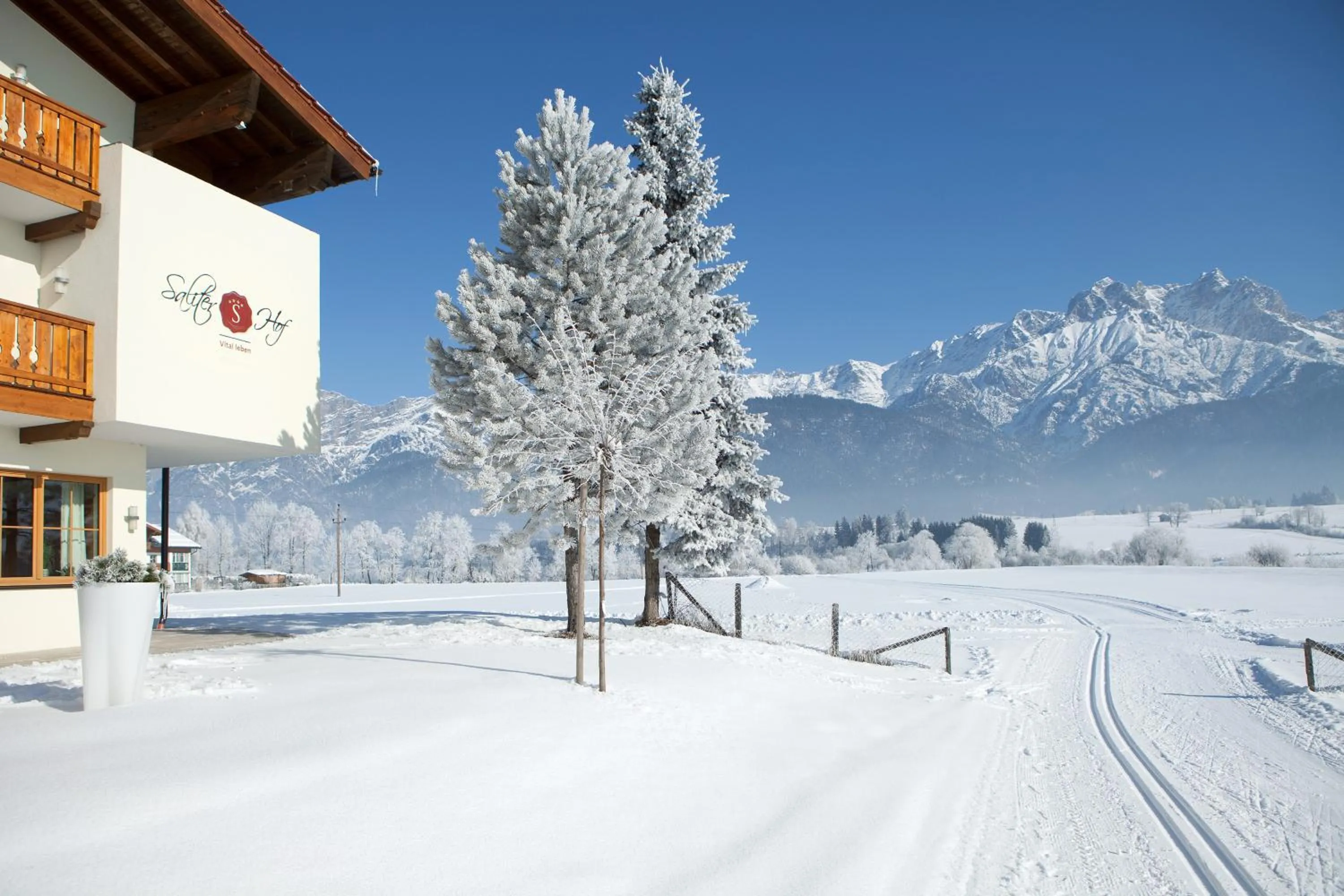 Area and facilities in Hotel Saliter Hof