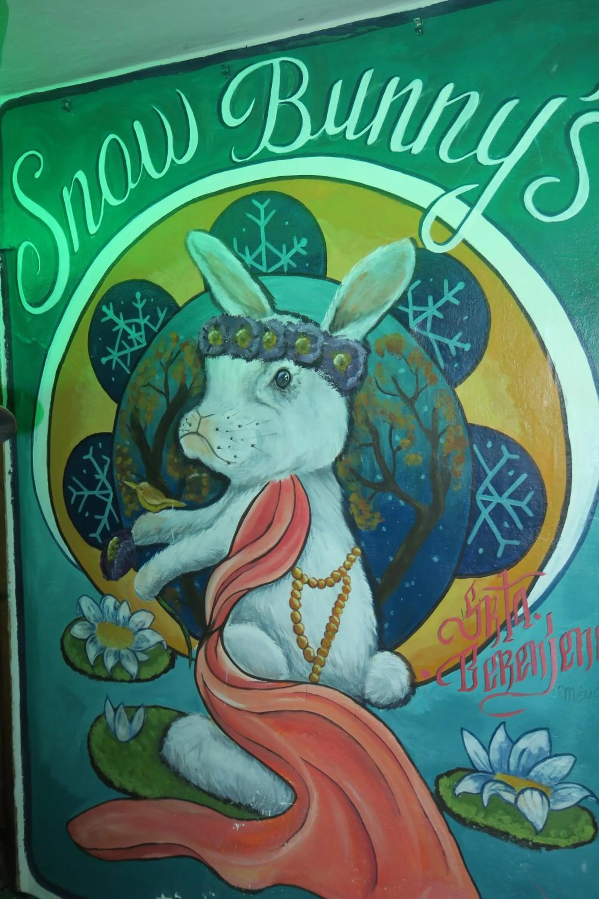 SnowBunnys BackPackers Hostel