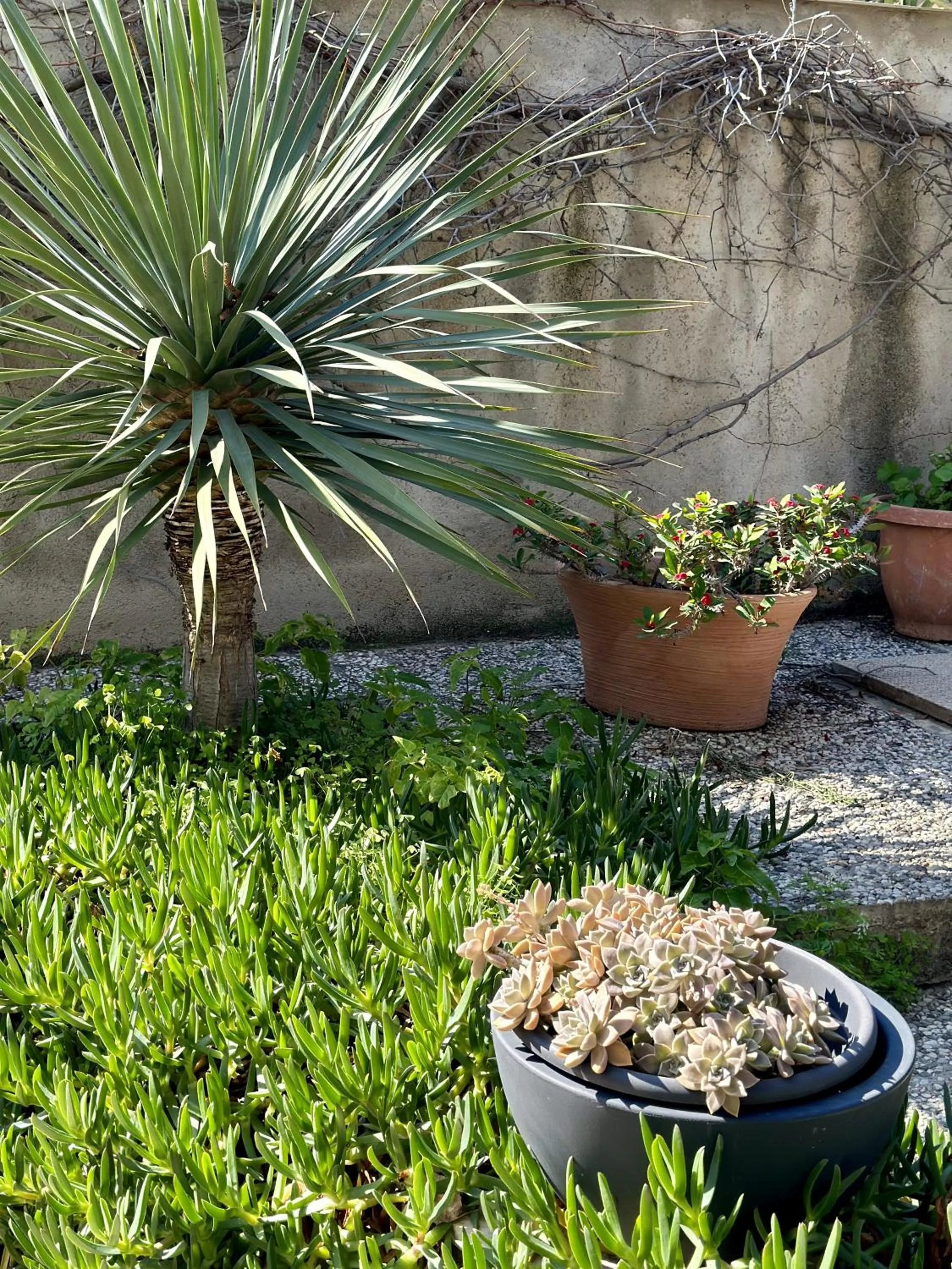 Garden in Garden House Alla Torre