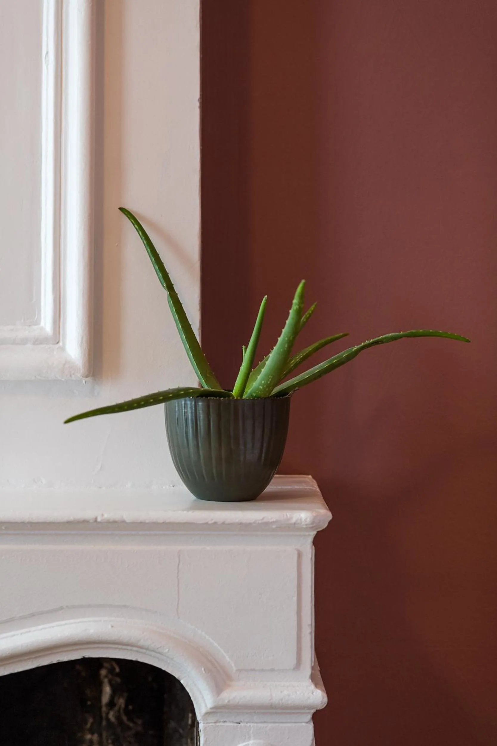 flat iron in ADLER Boutique Hotel