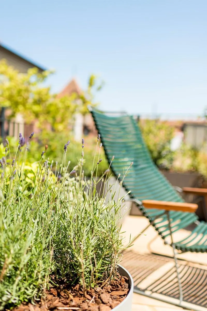 Balcony/Terrace in ADLER Boutique Hotel