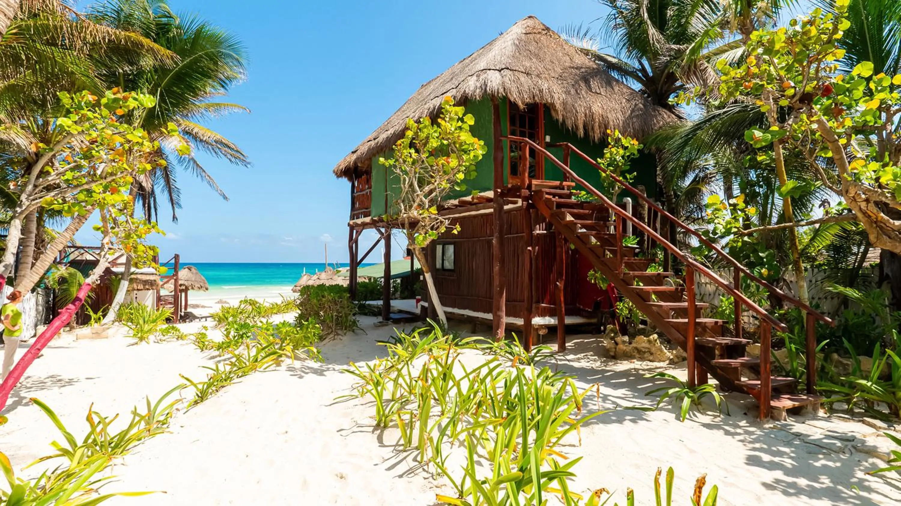 View (from property/room) in Chancabañita Tulum