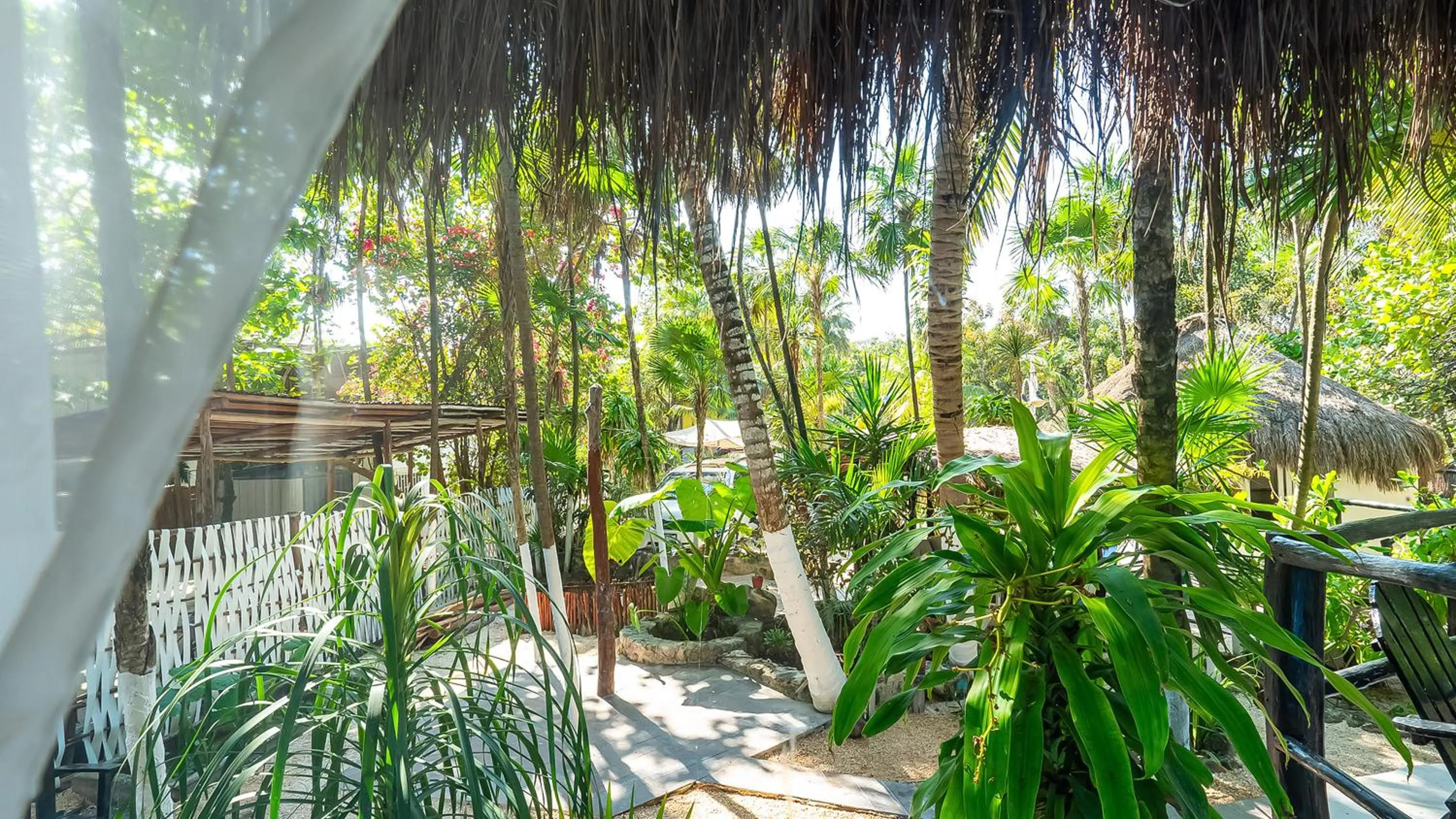 View (from property/room) in Chancabañita Tulum