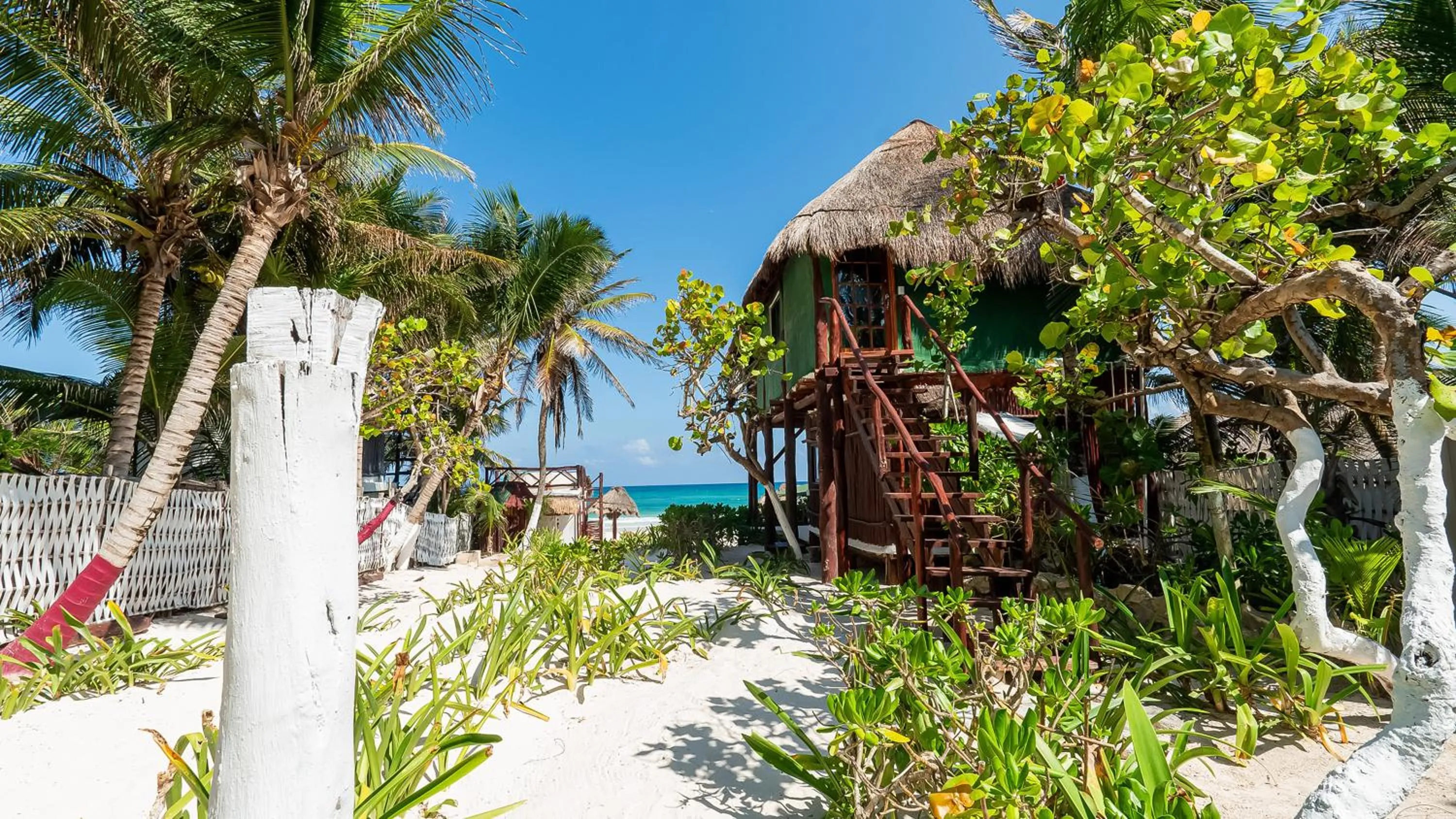 View (from property/room) in Chancabañita Tulum