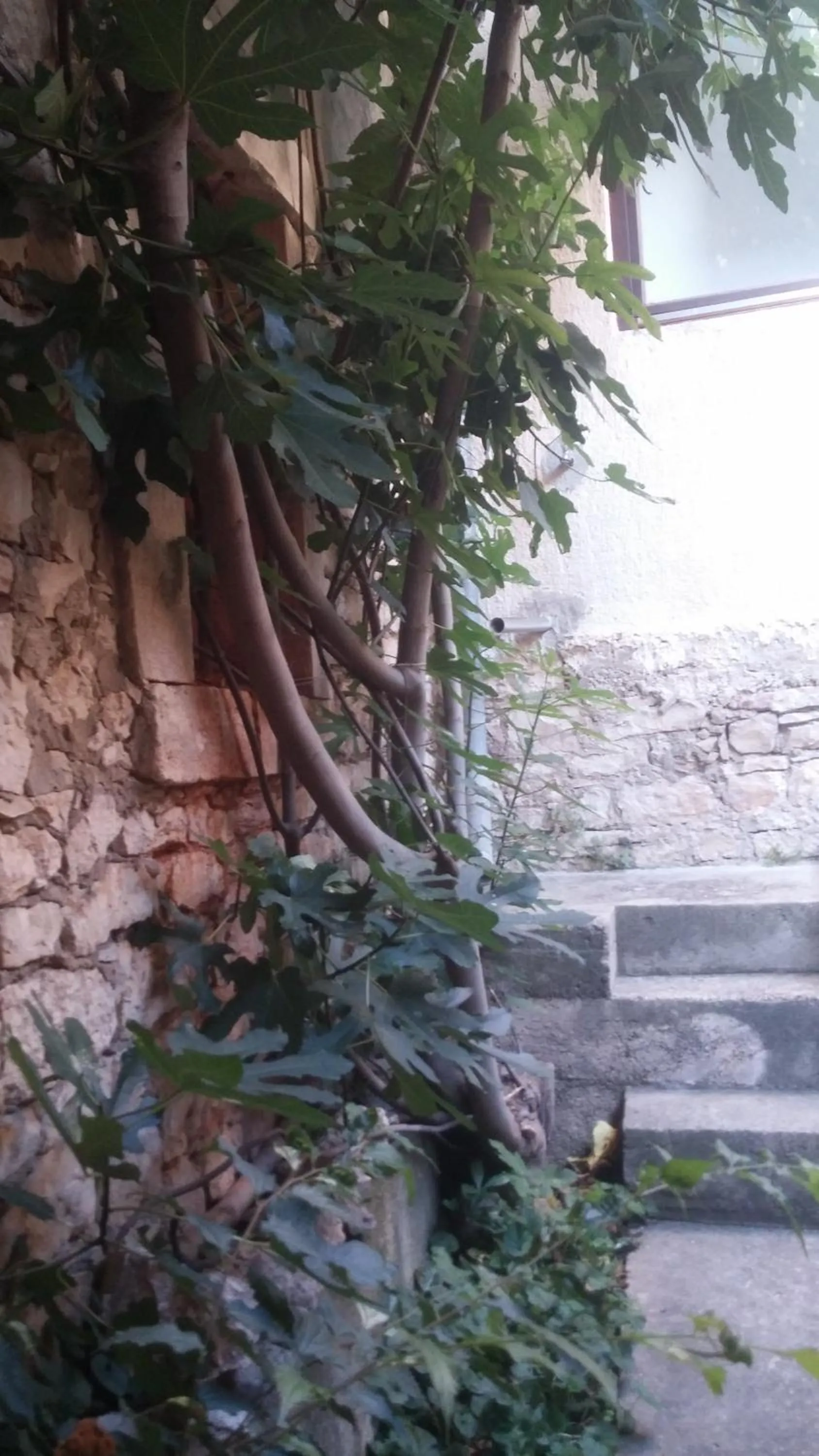 Holiday Home Arina