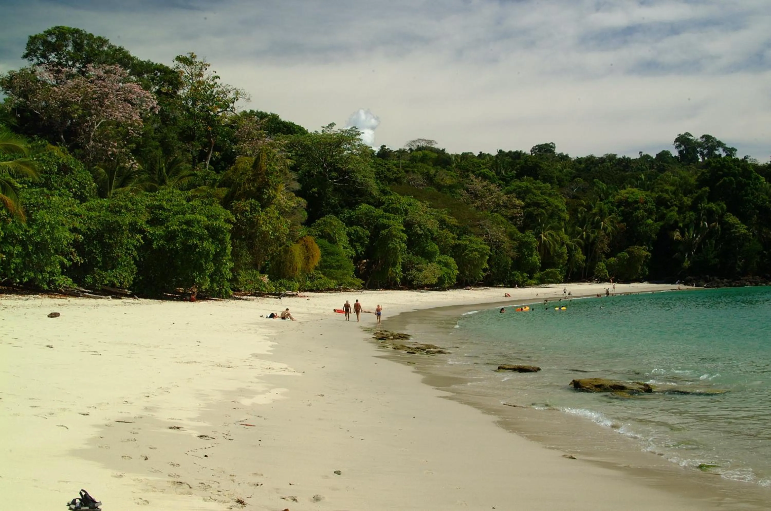 Natural landscape in Hotel Manuel Antonio Park