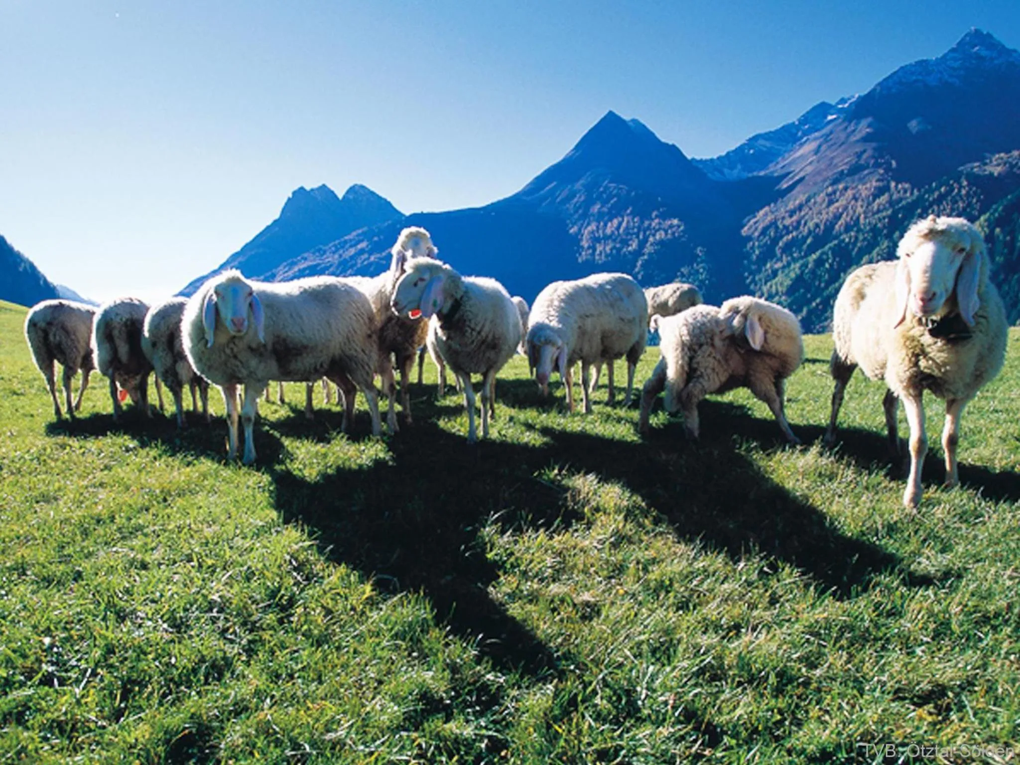 Property building in first mountain Hotel Ötztal