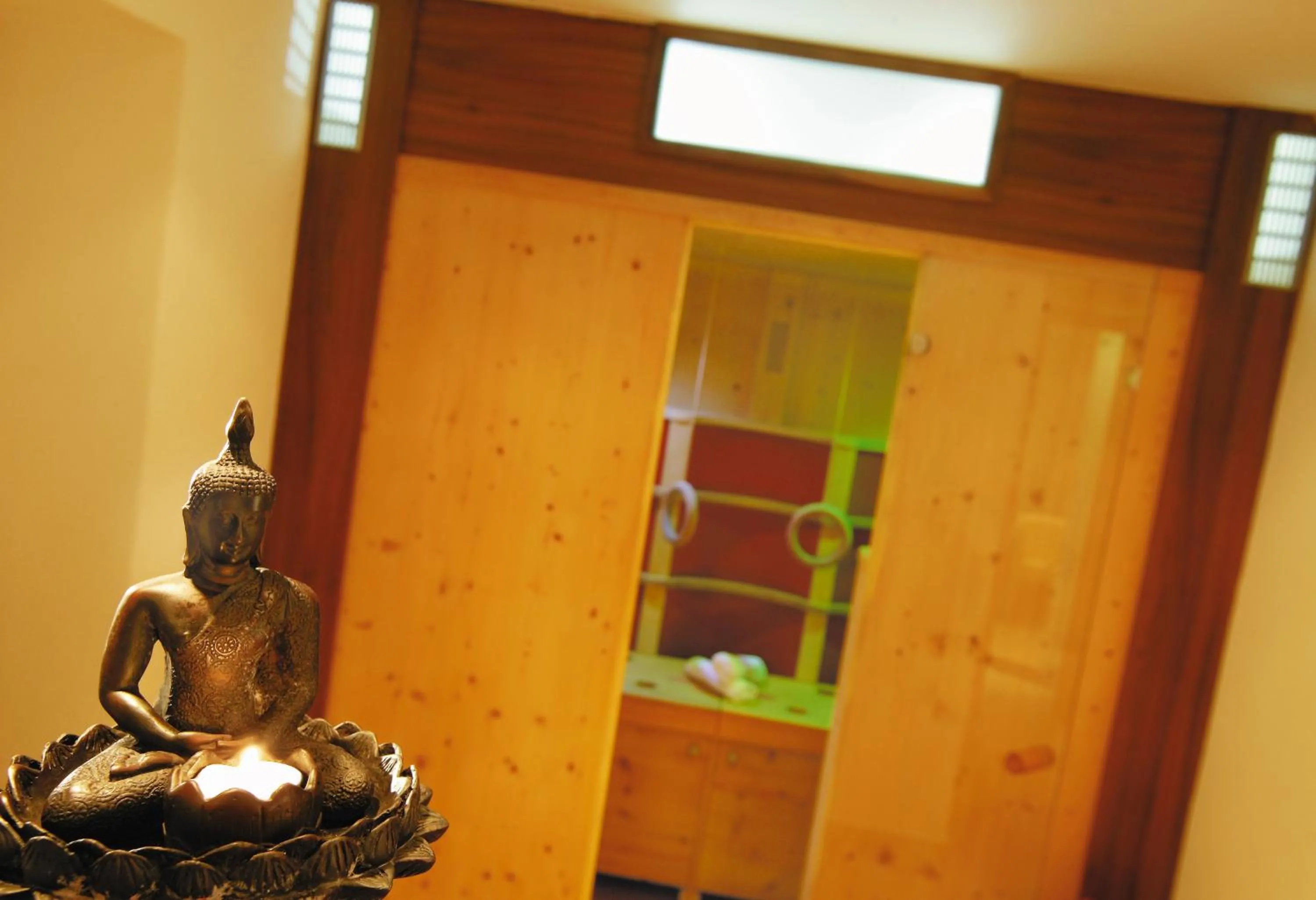 Spa and wellness centre/facilities in Aliona Apart