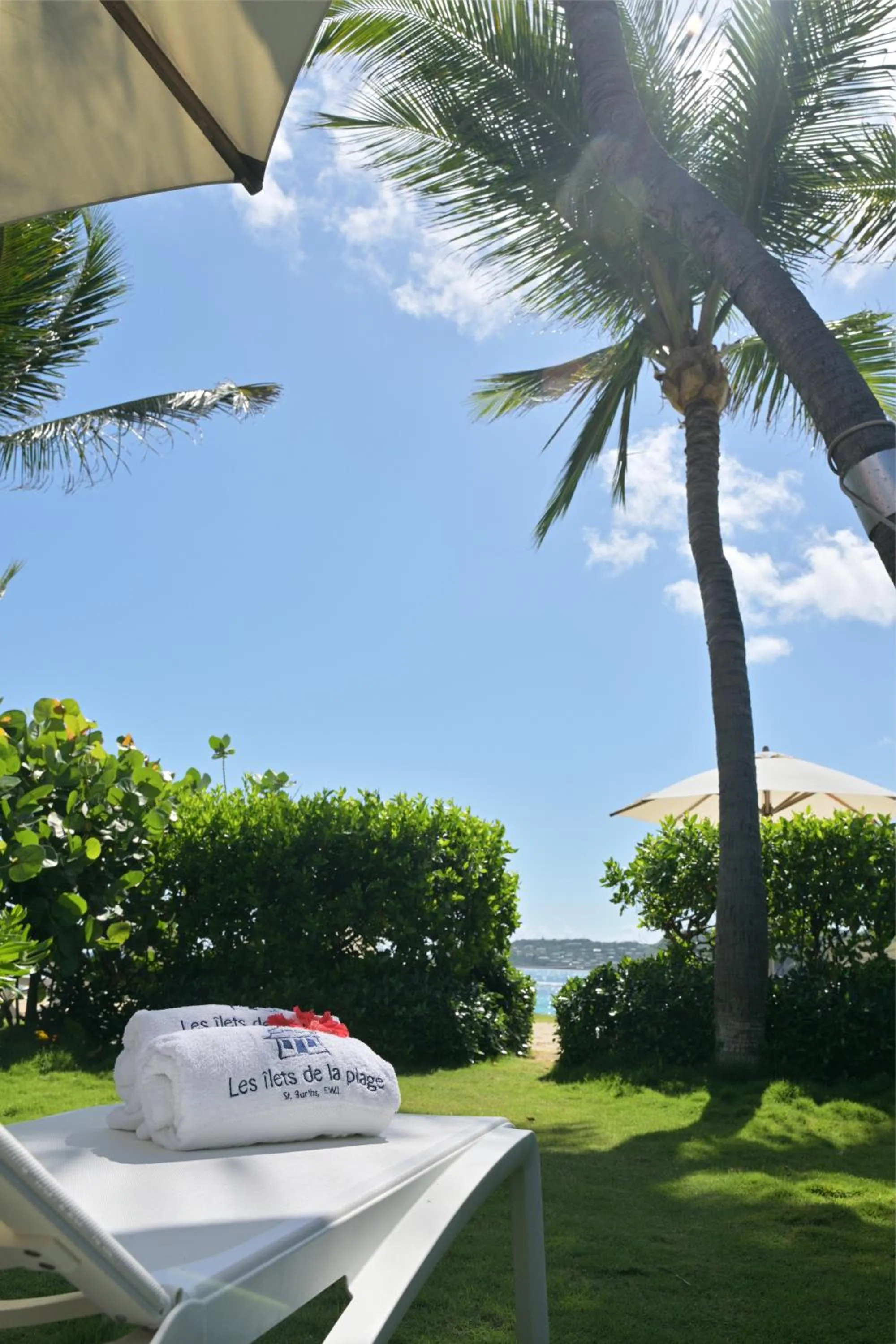 Garden in Les Ilets De La Plage