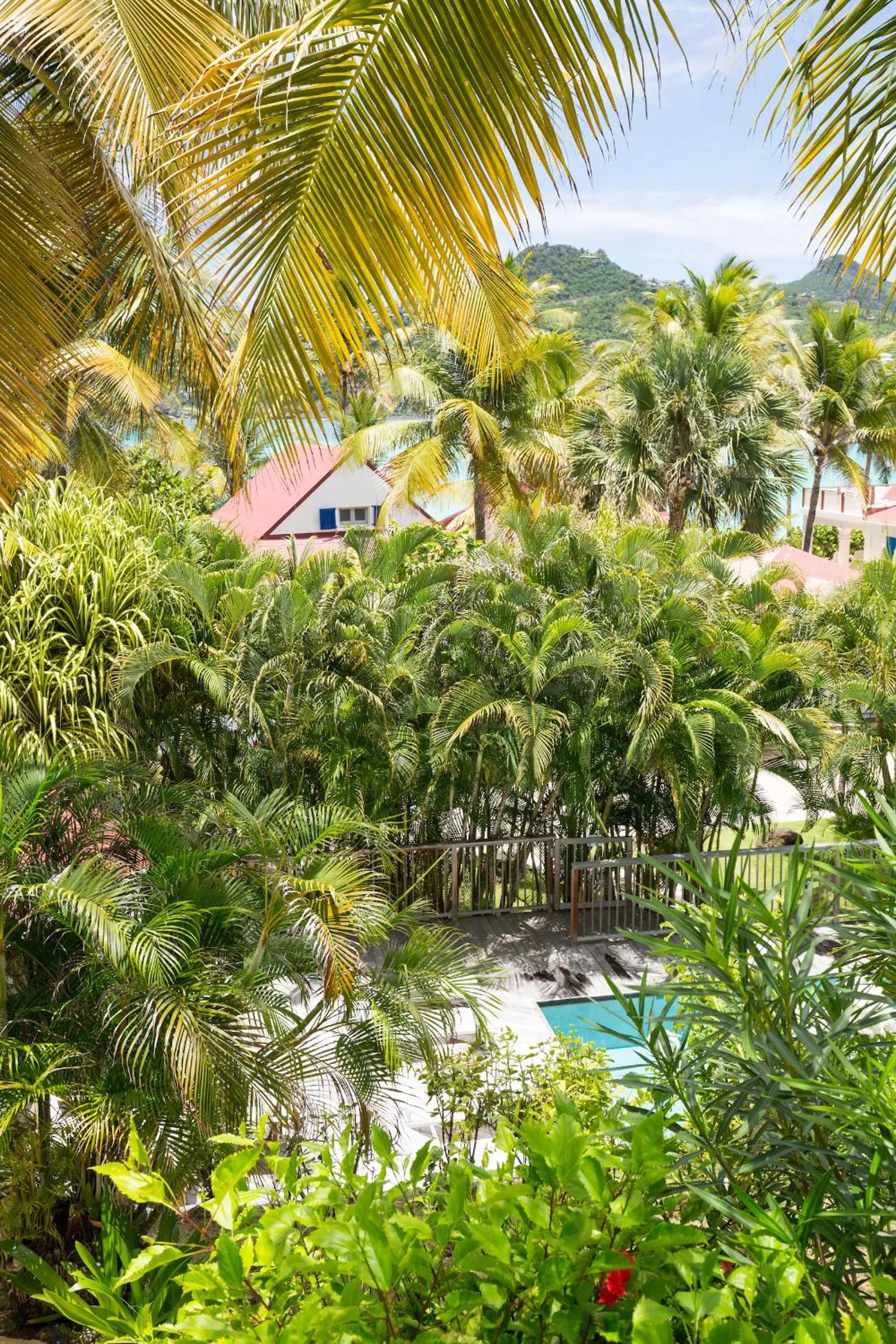 Garden in Les Ilets De La Plage