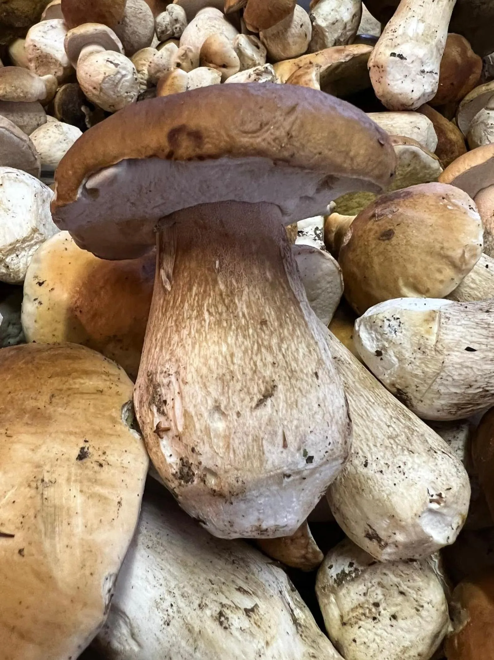 Restaurant/places to eat in Logis Hôtel-Restaurant Les Voyageurs