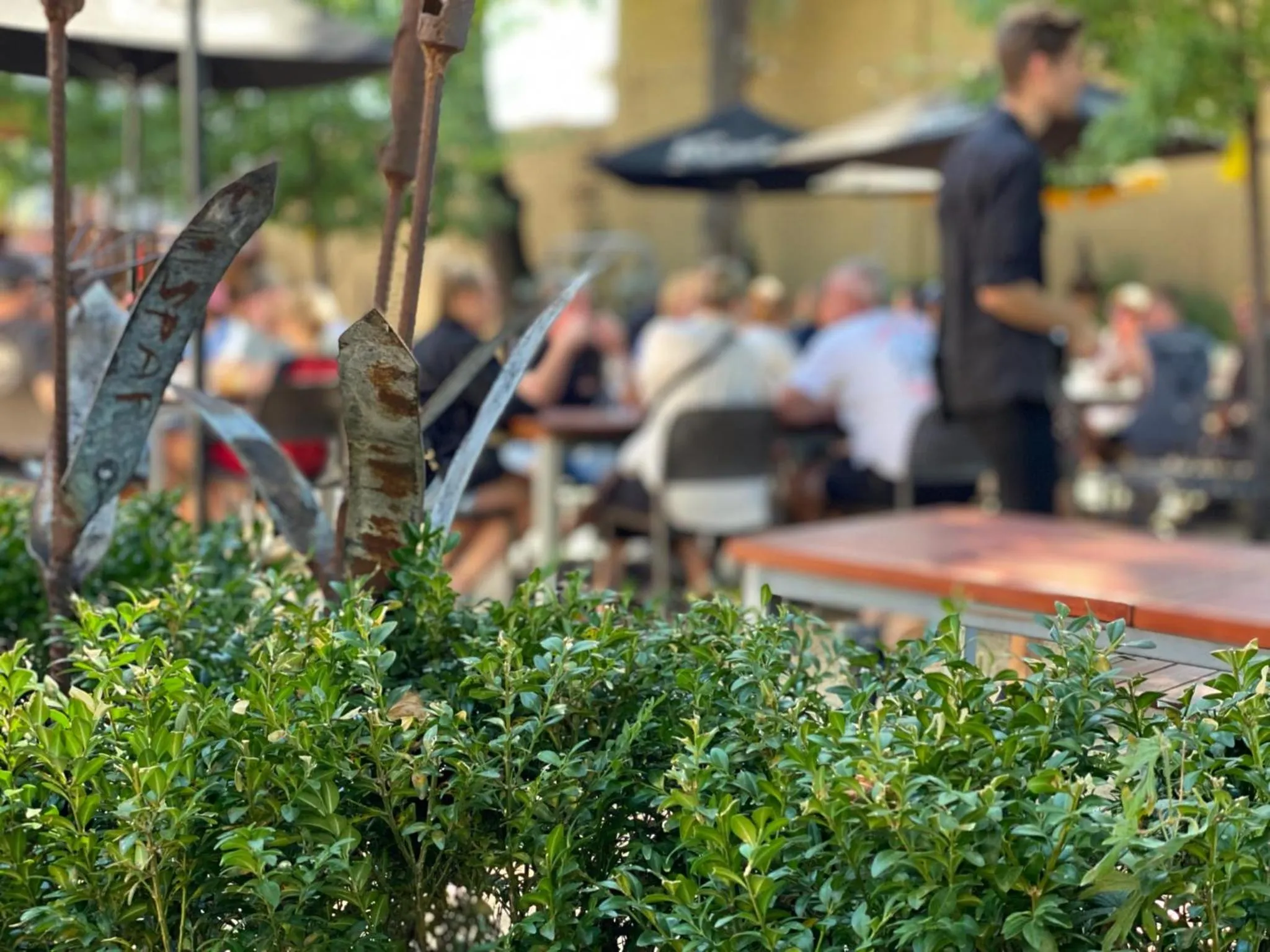 Restaurant/places to eat in Delatite Hotel