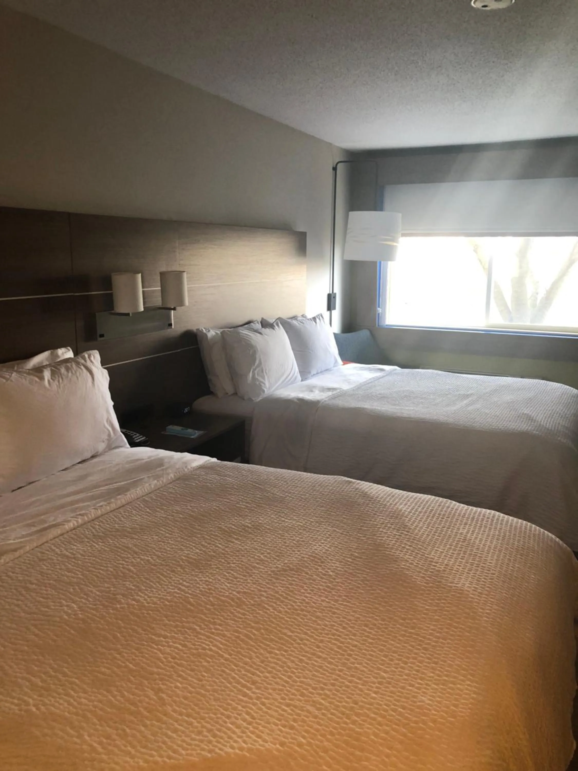 Photo of the whole room, Bed in Holiday Inn Express Mt. Vernon by IHG