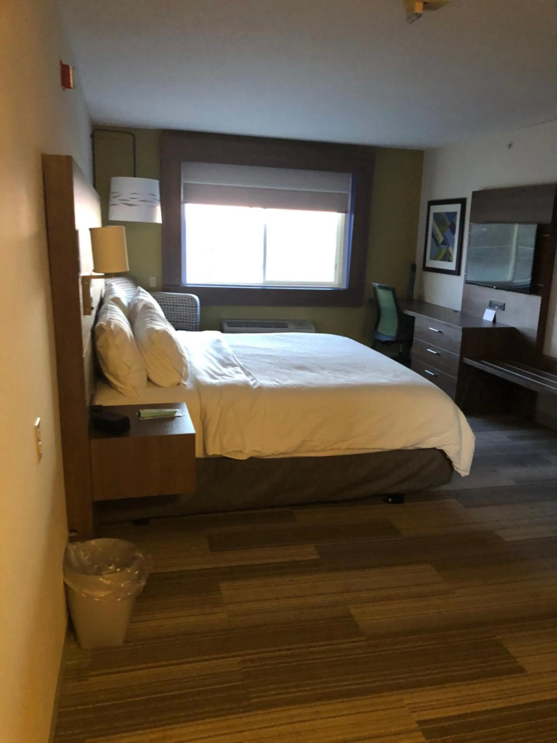 Photo of the whole room, Bed in Holiday Inn Express Mt. Vernon by IHG