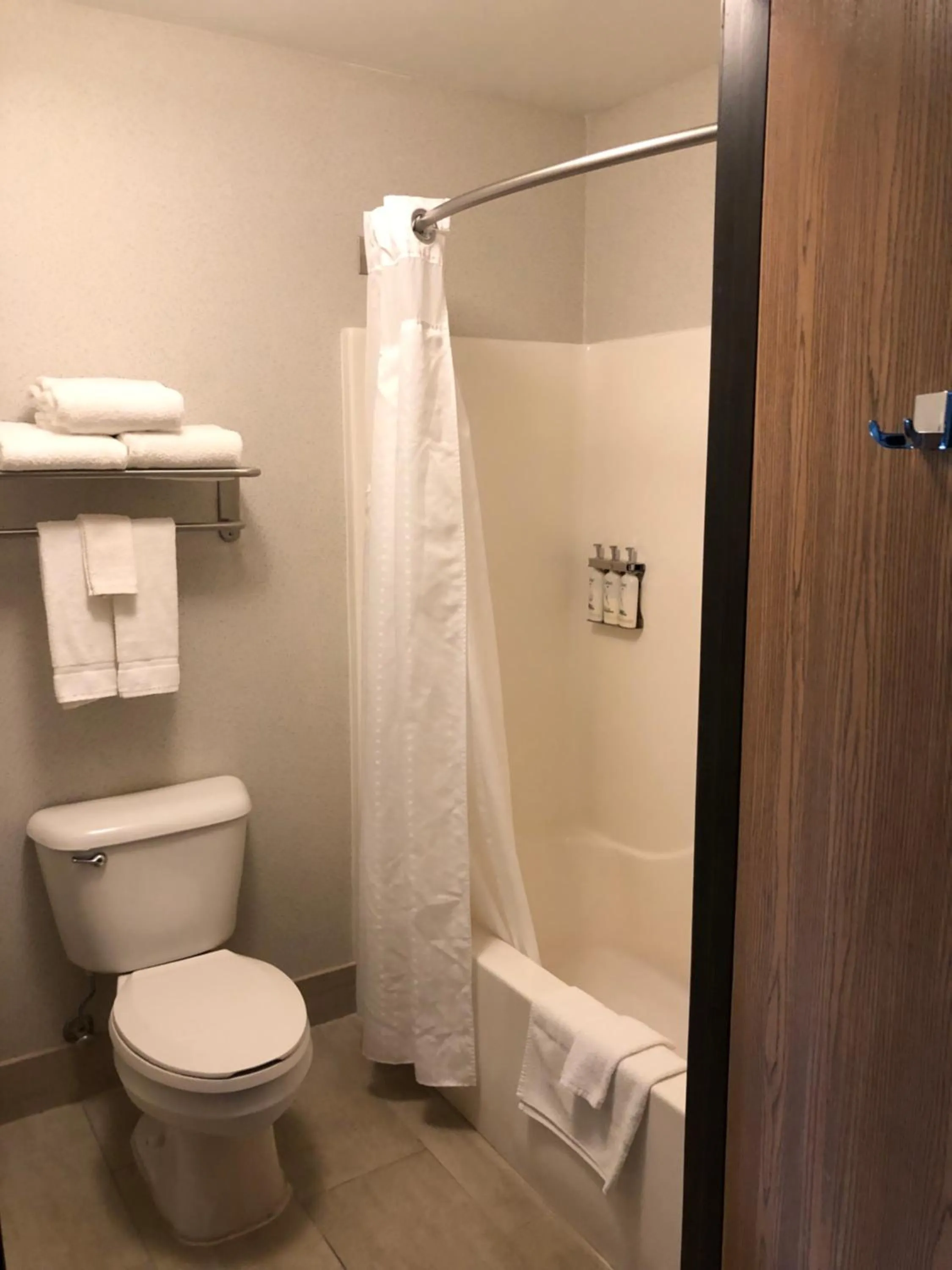 Bathroom in Holiday Inn Express Mt. Vernon by IHG