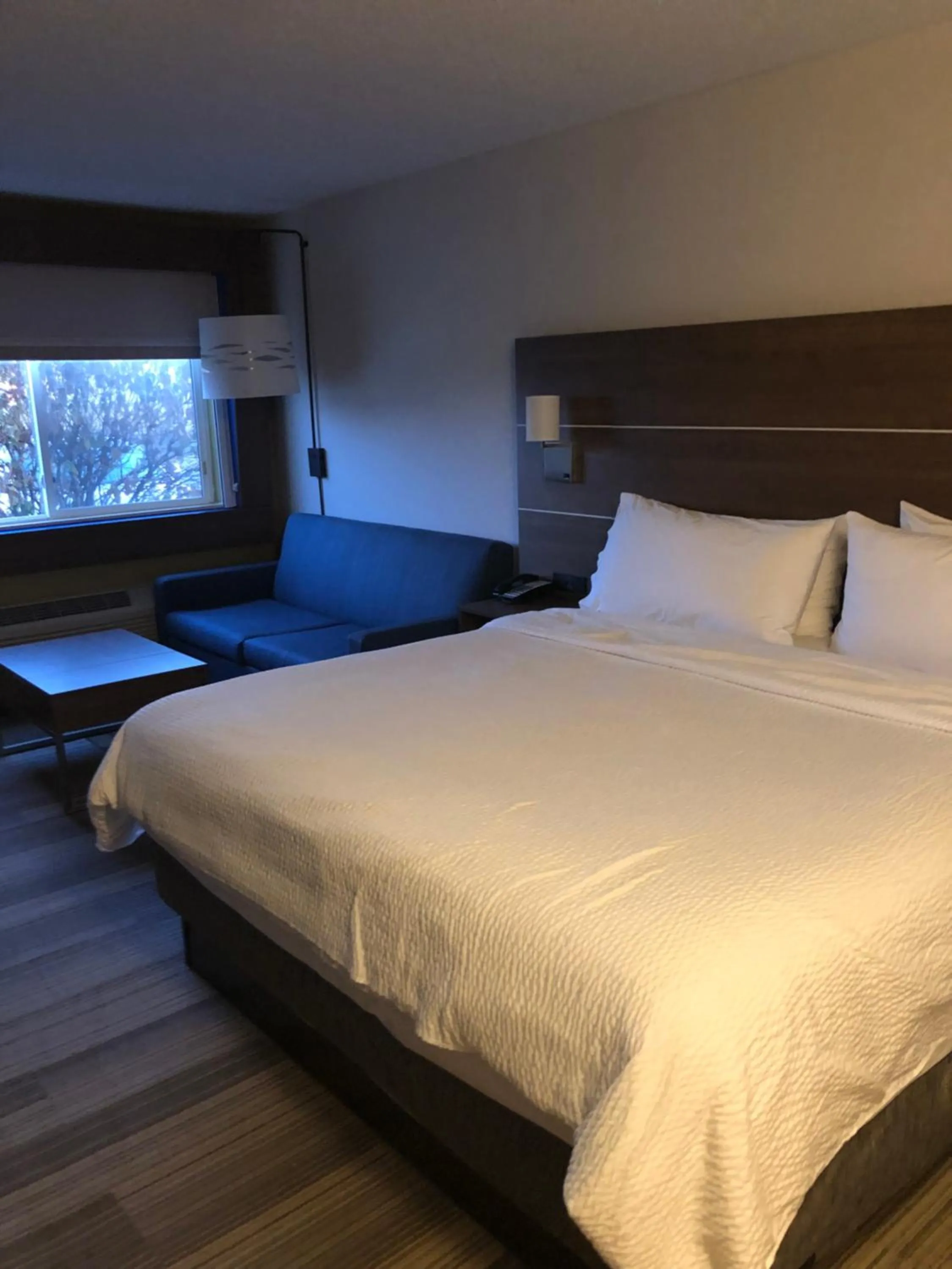 Photo of the whole room, Bed in Holiday Inn Express Mt. Vernon by IHG