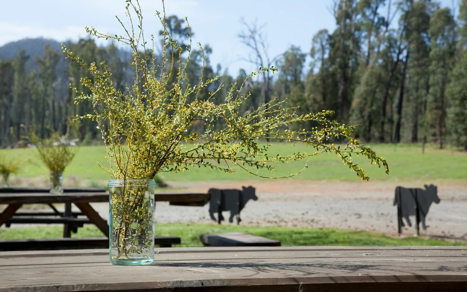 Property building in Saladin Lodge