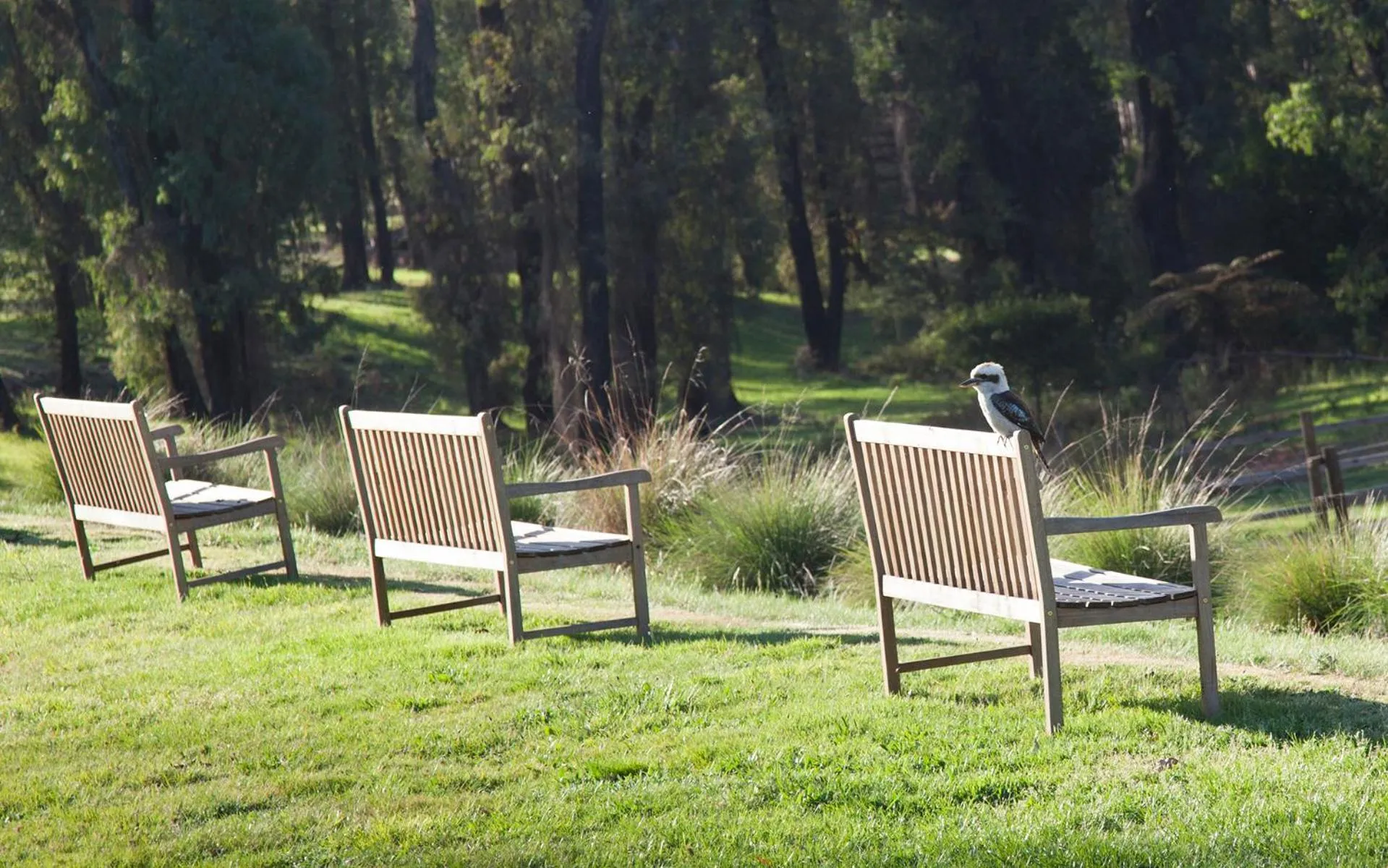 Garden in Saladin Lodge