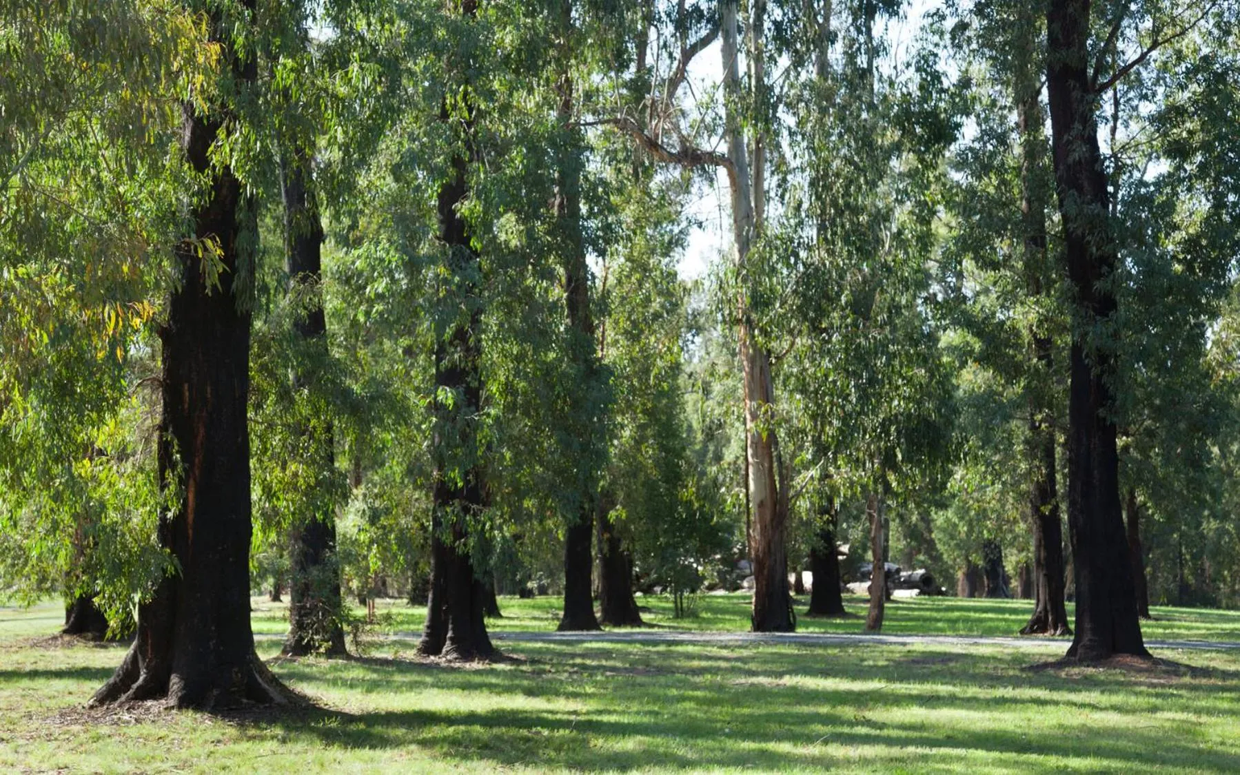 Property building in Saladin Lodge