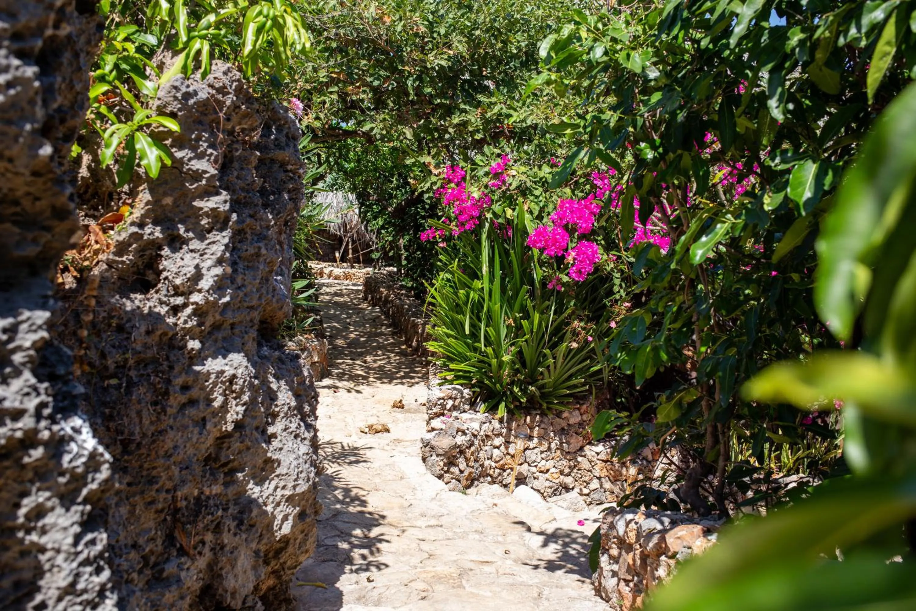 Garden in Bo'a Vida Rote