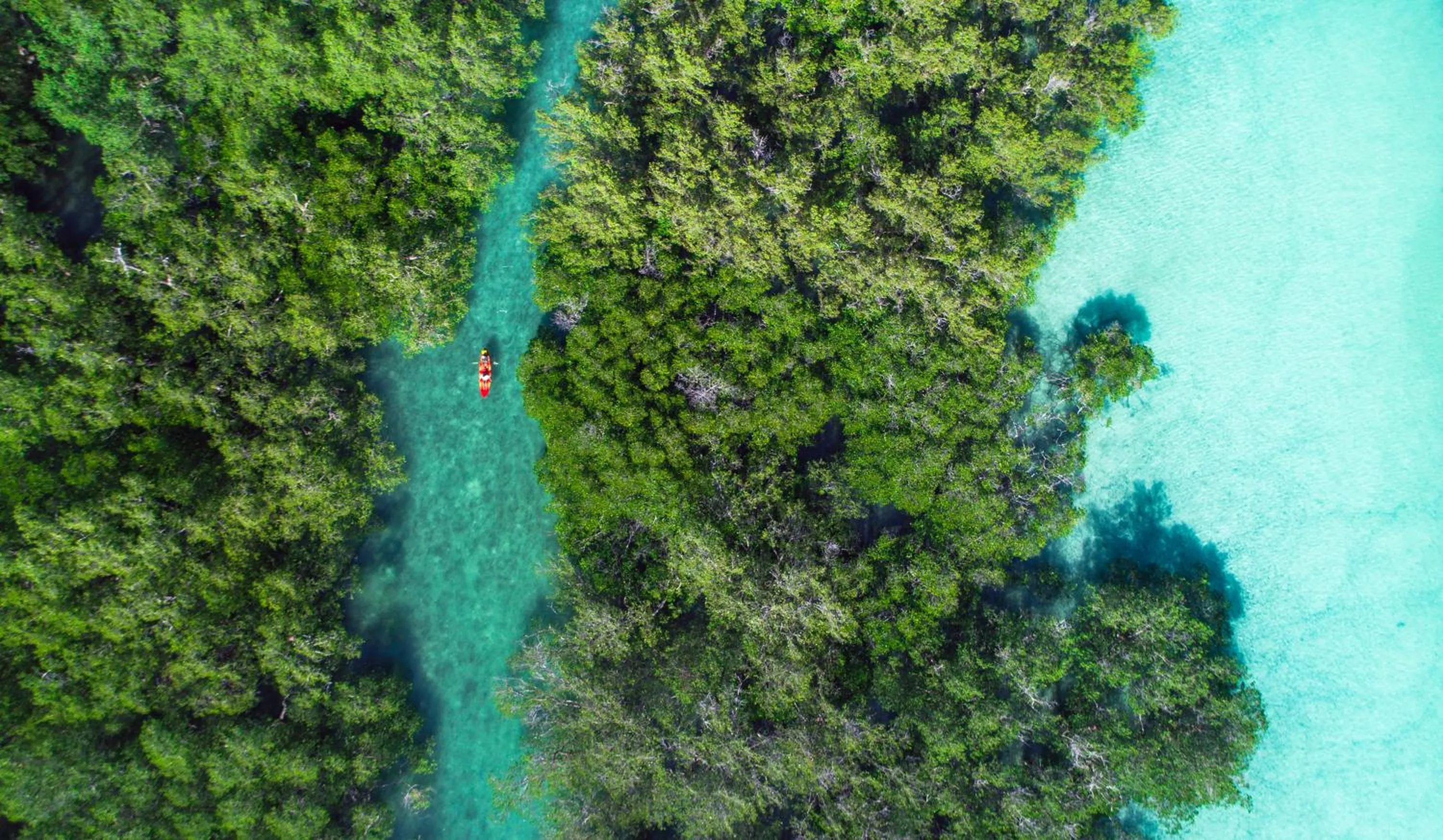 Natural landscape in Bo'a Vida Rote