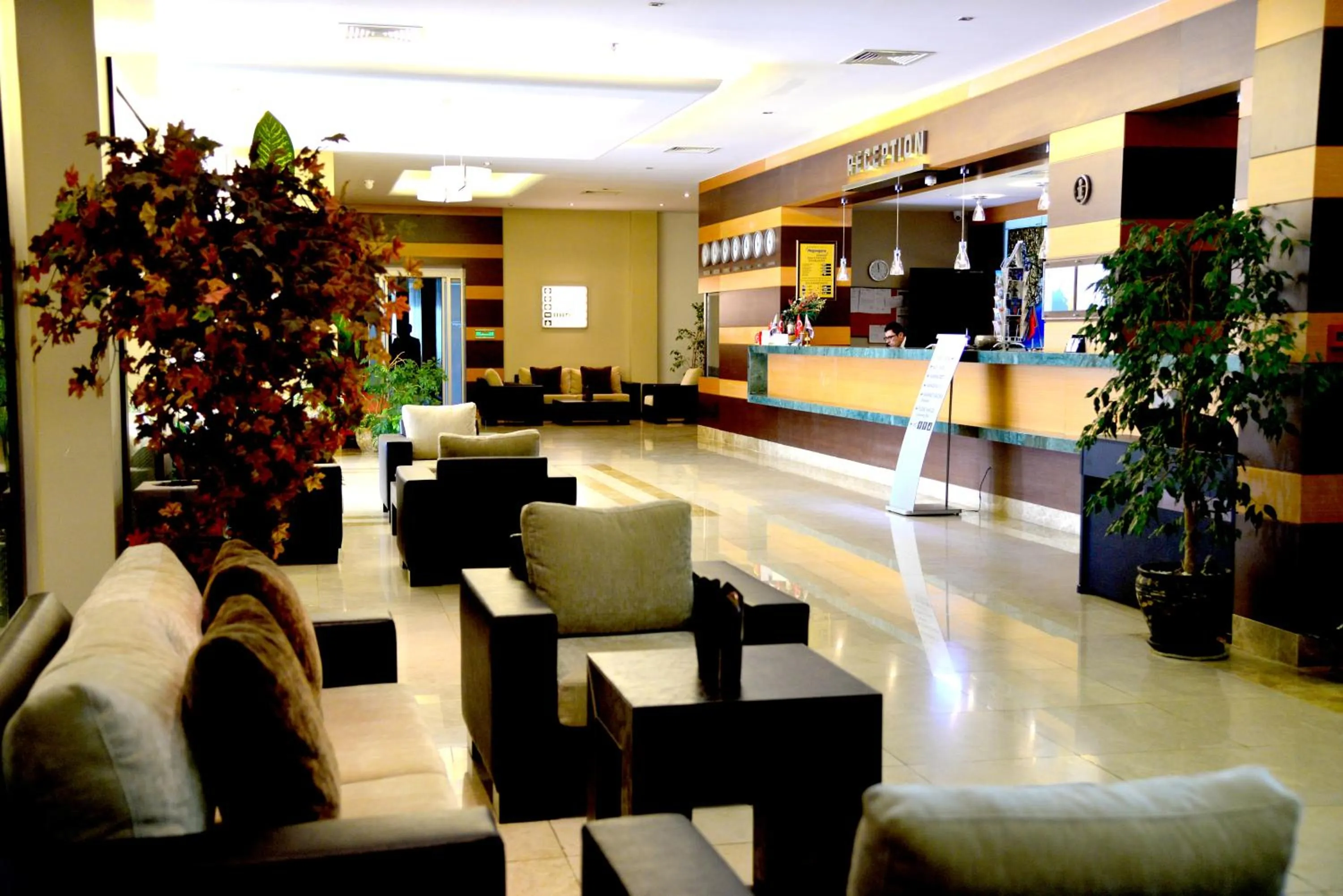 Lobby or reception in Hotel Hegsagone Marine Asia