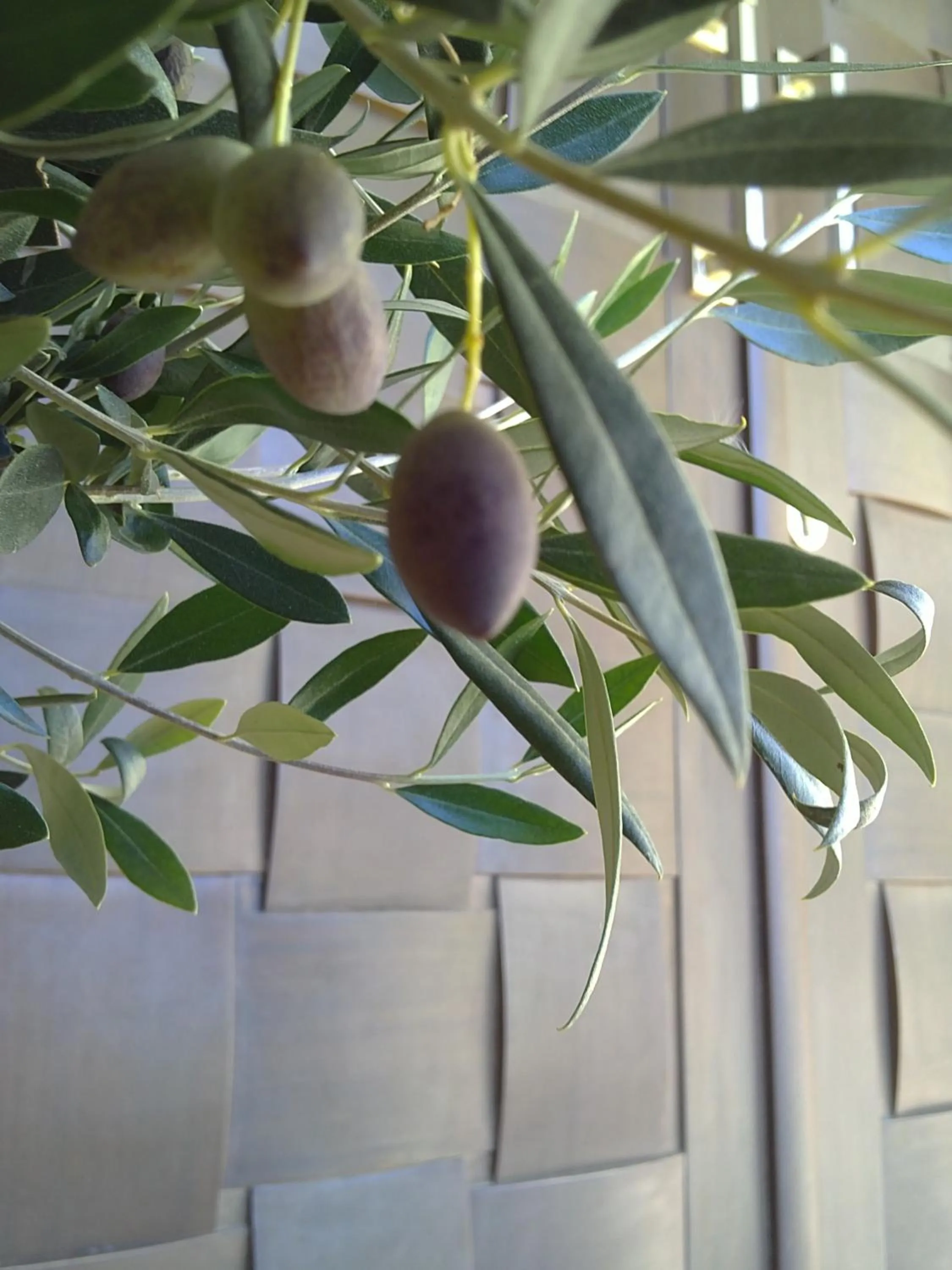 Facade/entrance in Villa Del Lago Boutique Hotel