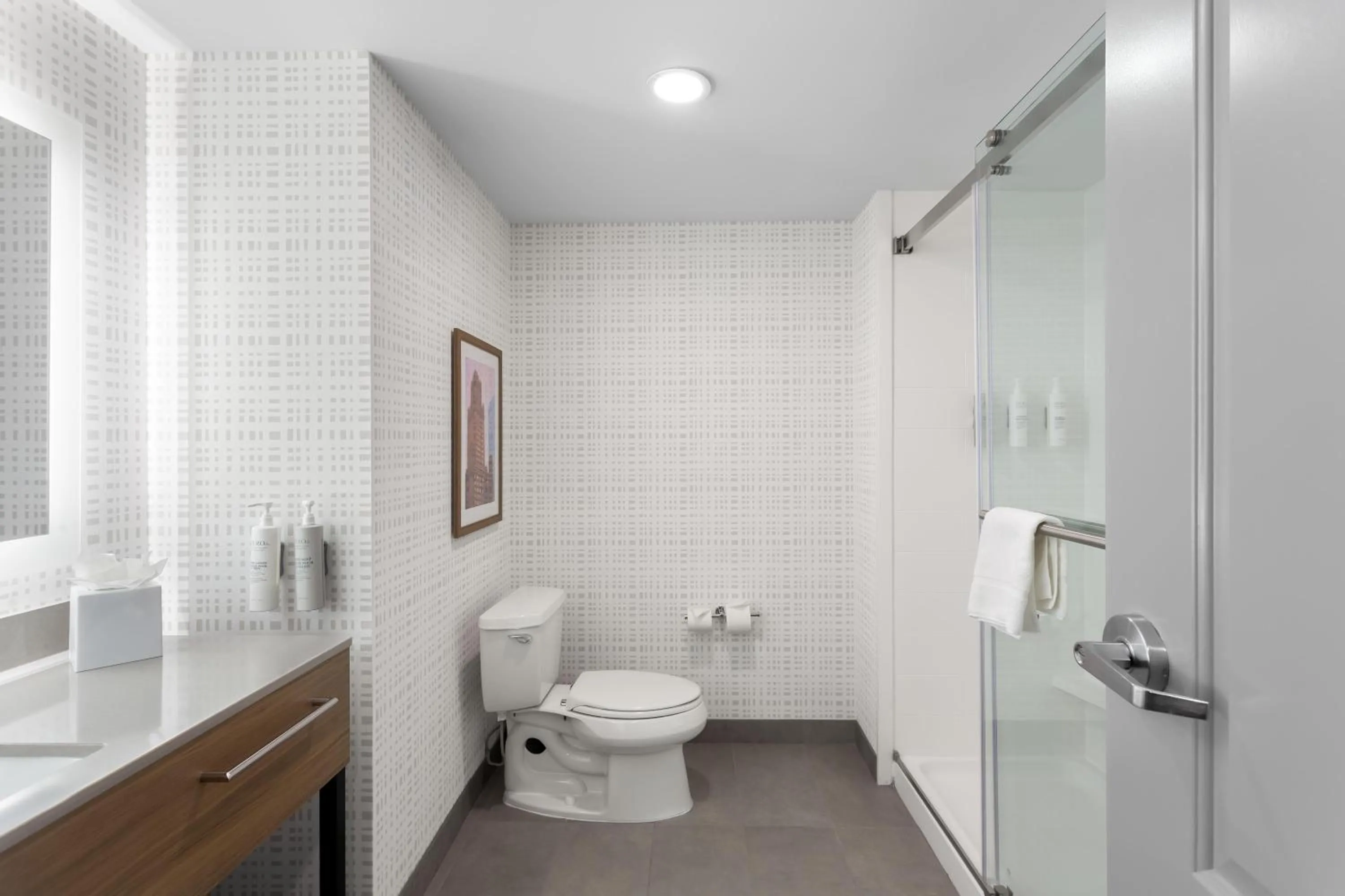 Bathroom in Hampton Inn & Suites Chicago Deer Park