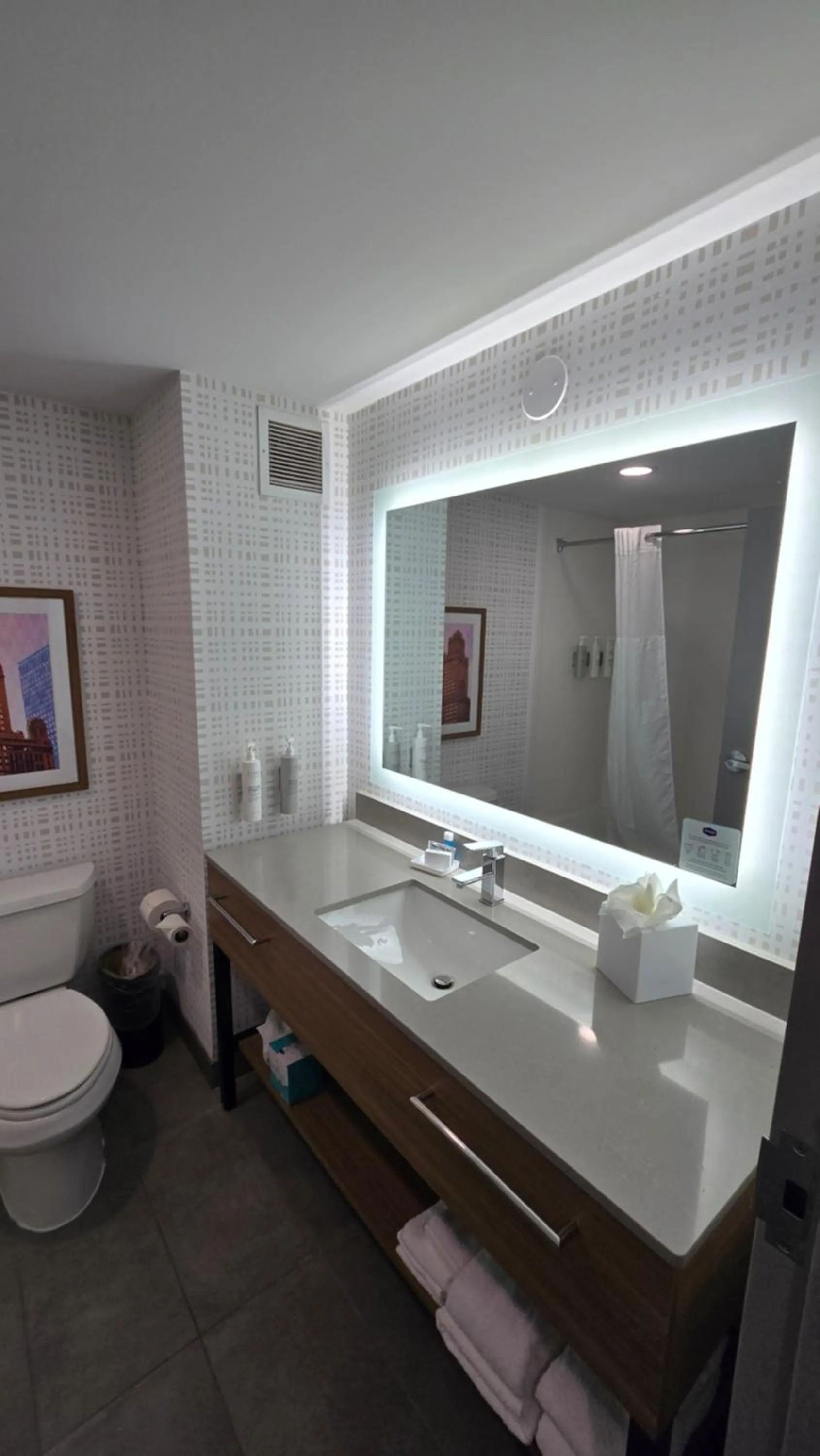 Bathroom in Hampton Inn & Suites Chicago Deer Park