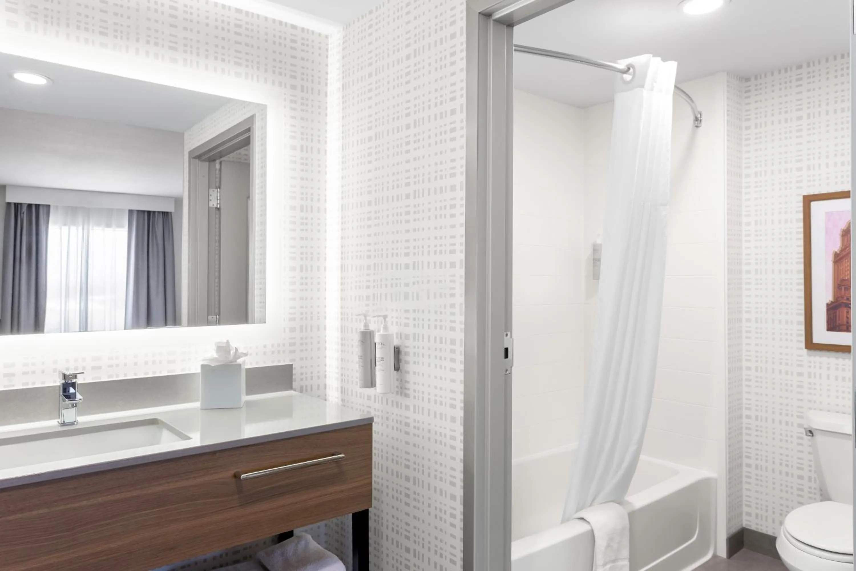 Bathroom in Hampton Inn & Suites Chicago Deer Park