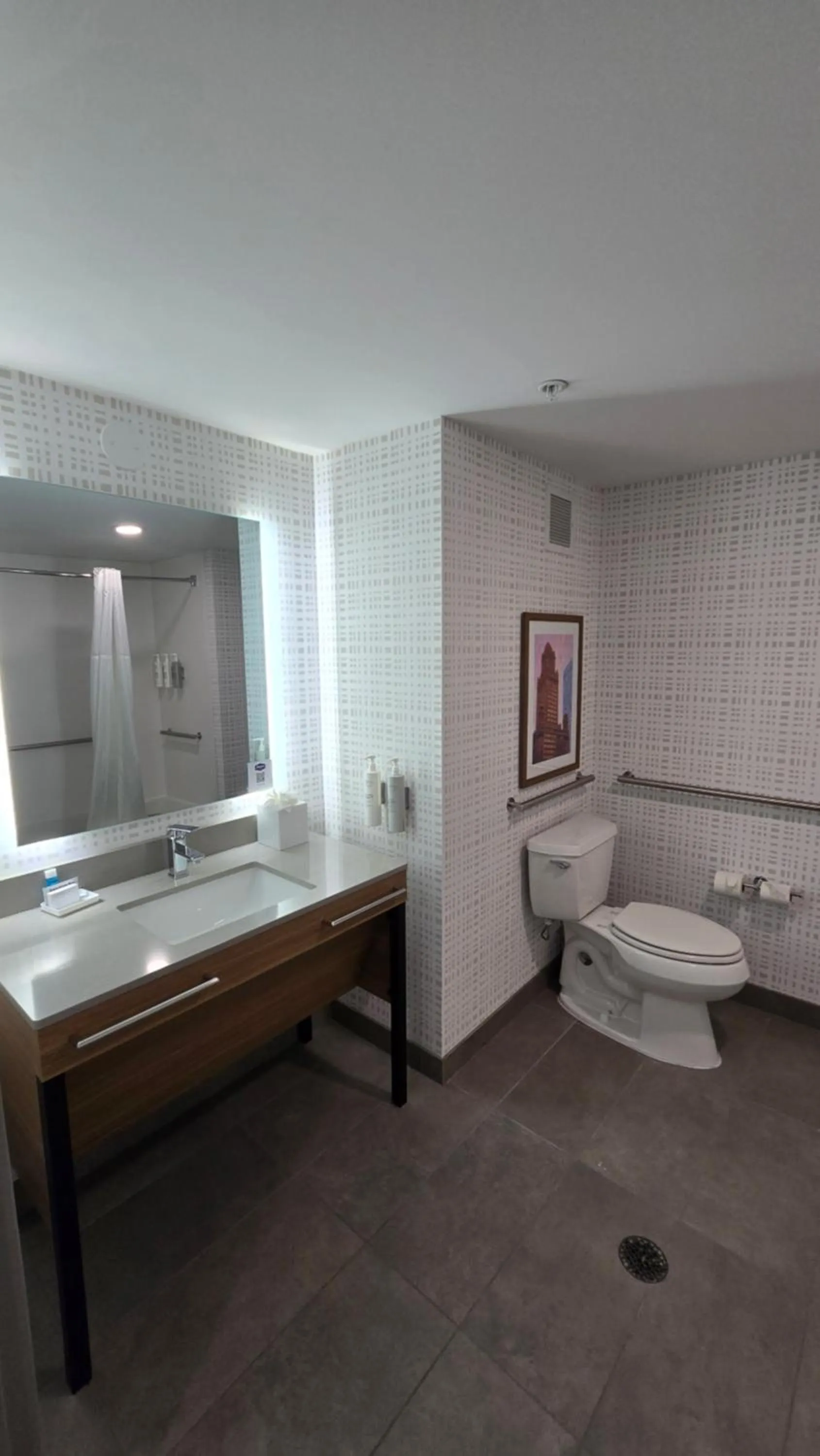 Toilet in Hampton Inn & Suites Chicago Deer Park