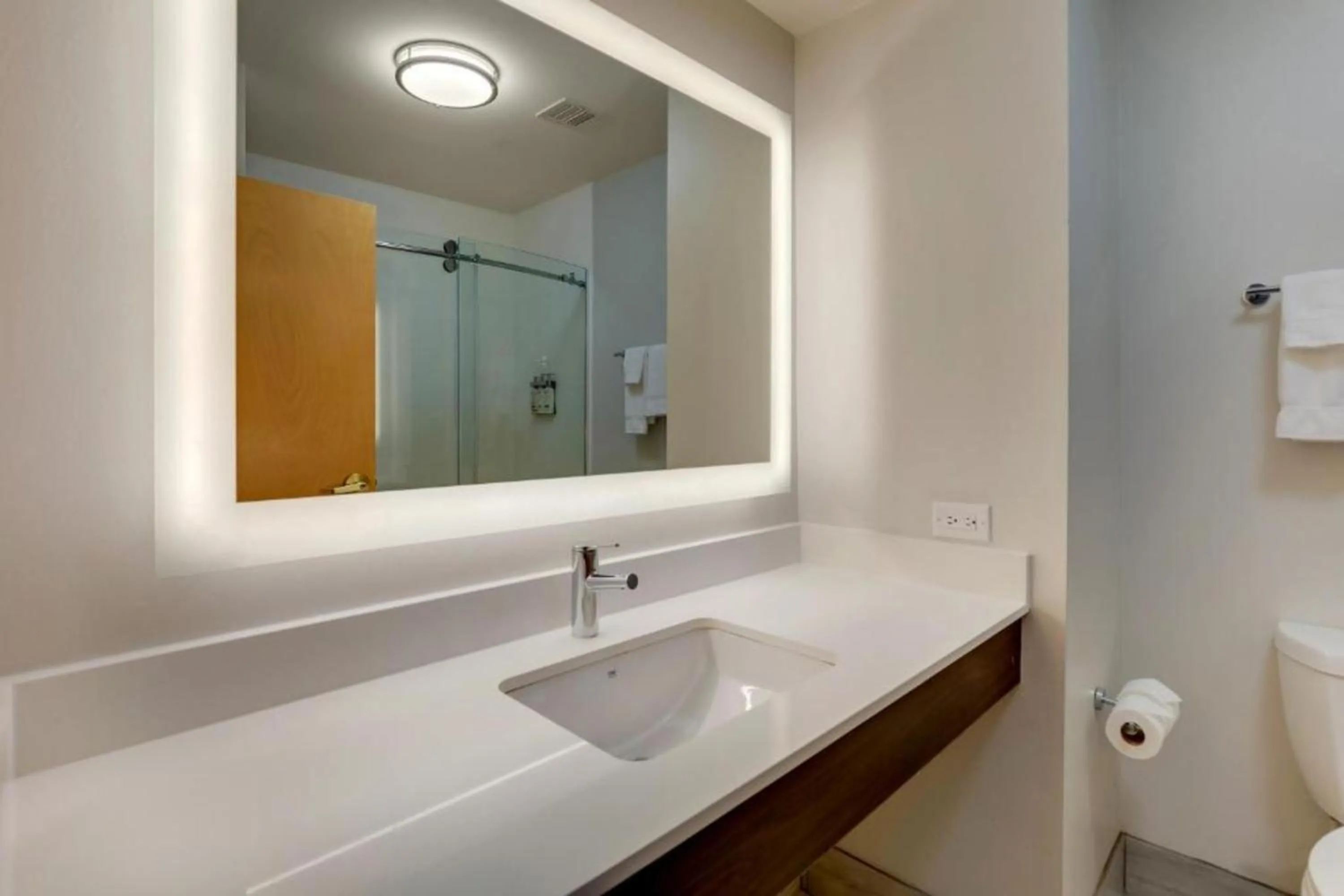 Bathroom in Holiday Inn Express Hotel & Suites Richmond by IHG